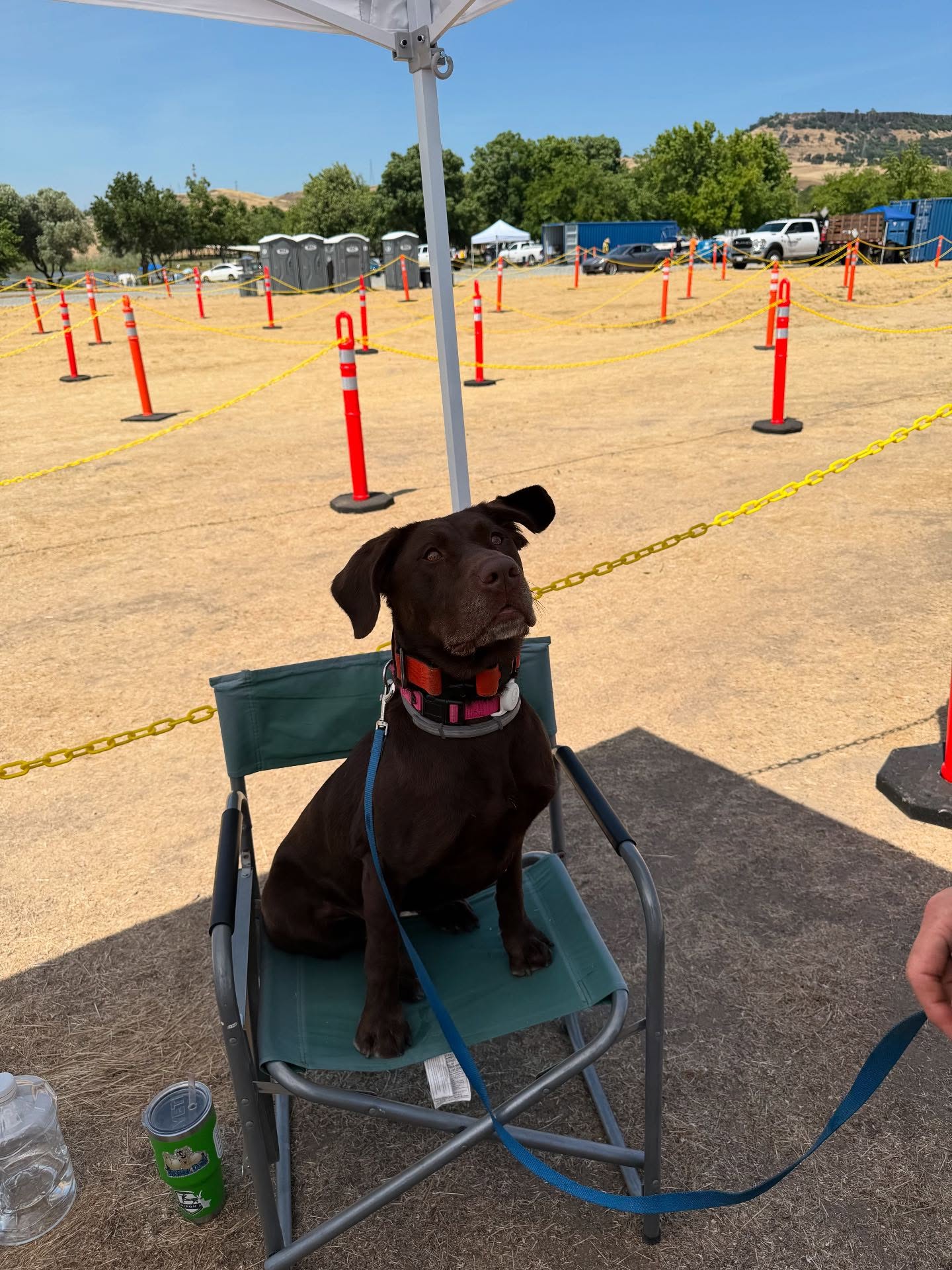 This is going to be a wild summer! Our canines have already alerted us to 5 watercraft with the presence of quagga, zebra or golden mussel odor. In 3 of the 5 the boater admitted that the last place the watercraft was launched was in an infected waterway. Well one lied but we were able to pull up proof!