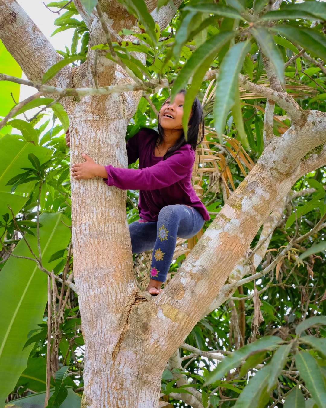 Seeing her up in that tree picking mangoes 🍃🥭 instantly took me back to my childhood. I used to do the same—barefoot, climbing trees, feeling nature all around me 🌳👣What some call "wild" was actually for me the most beautiful way to connect with the earth 🌿. I wish every kid in the world could have that chance—so that growing up, nature wouldn’t feel "wild, uncomfortable, dangerous, or even dirty". It would feel like I don't.. what we are actually🤷♀️...Maybe then, we’d care more about the choices we make—like the clothes we wear, the precious stones we buy 💎 and the brands we support. Because all of it affects our environment, our communities, and the peace around the world.. and yeap...kids are once of the most innocents beings but sadly they are also the ones who suffer the most from the desicions of the adults🌍💚.