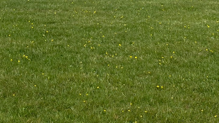 What a trip! Ireland Scotland and Badminton horse trials. Amazing friends☘️ Unforgettable memories