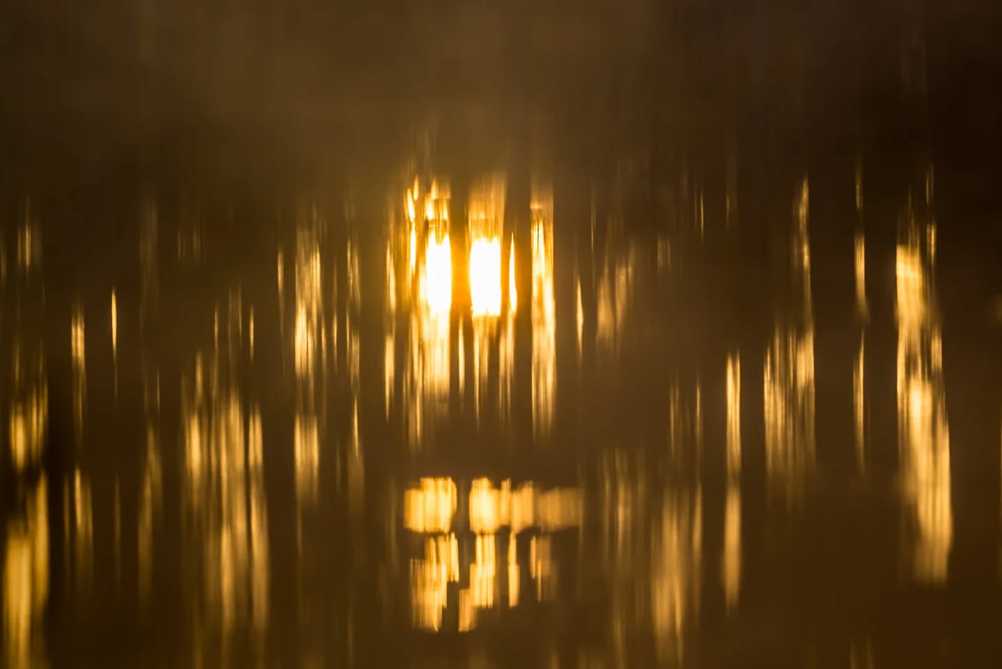 There is a crack in the wall where the light gets in.
#innature
#innaturephotos
#lightinthedark
#reflections
#sunlight