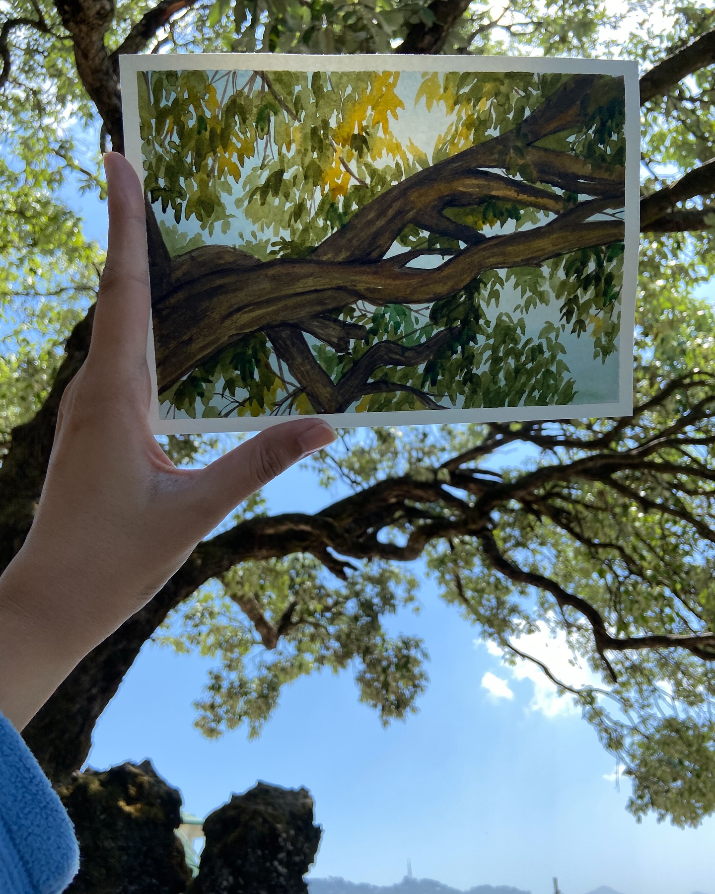 Plein air watercolour painting. Painting outdoors to capture light filtering through the leaves.
#pleinairpainting #pleinairpeinture #paintingoutdoors #watercolorist #pleinairlife #tveshasingh #impressionism #paintingfromlife