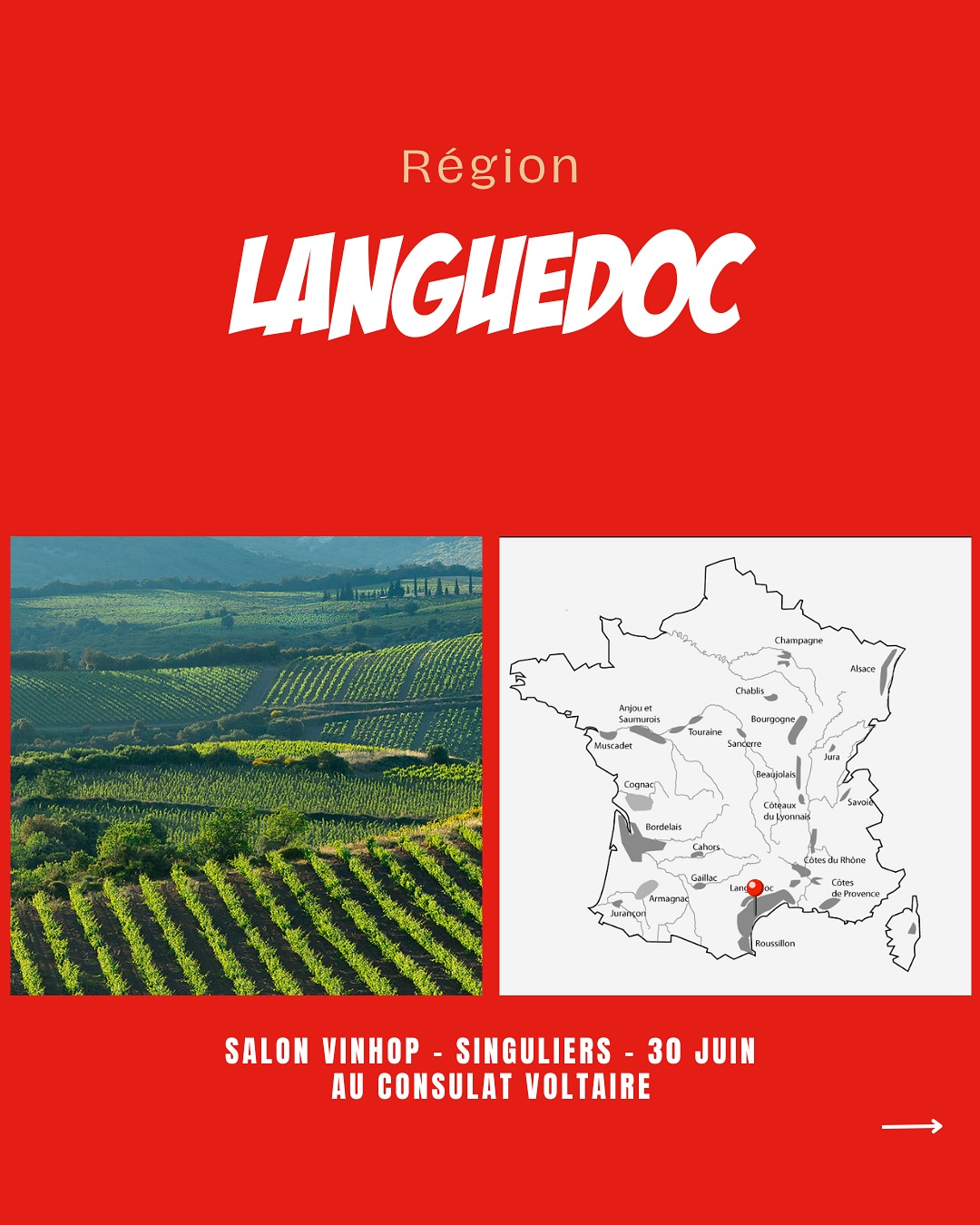 À la rencontre des vignerons du Languedoc.
@frederic_brouca
#domainedesdeuxclés
@famillebrunolafon
@chateau_de_valflaunes
@pasdelescalette
Venez les découvrir lors de notre salon SINGULIERS, où plus de 90 vignerons seront présents.
📍Le Consulat Paris 11ème
📆 30 juin 2025
‼️Réservé aux professionnels - lien d’inscription en bio