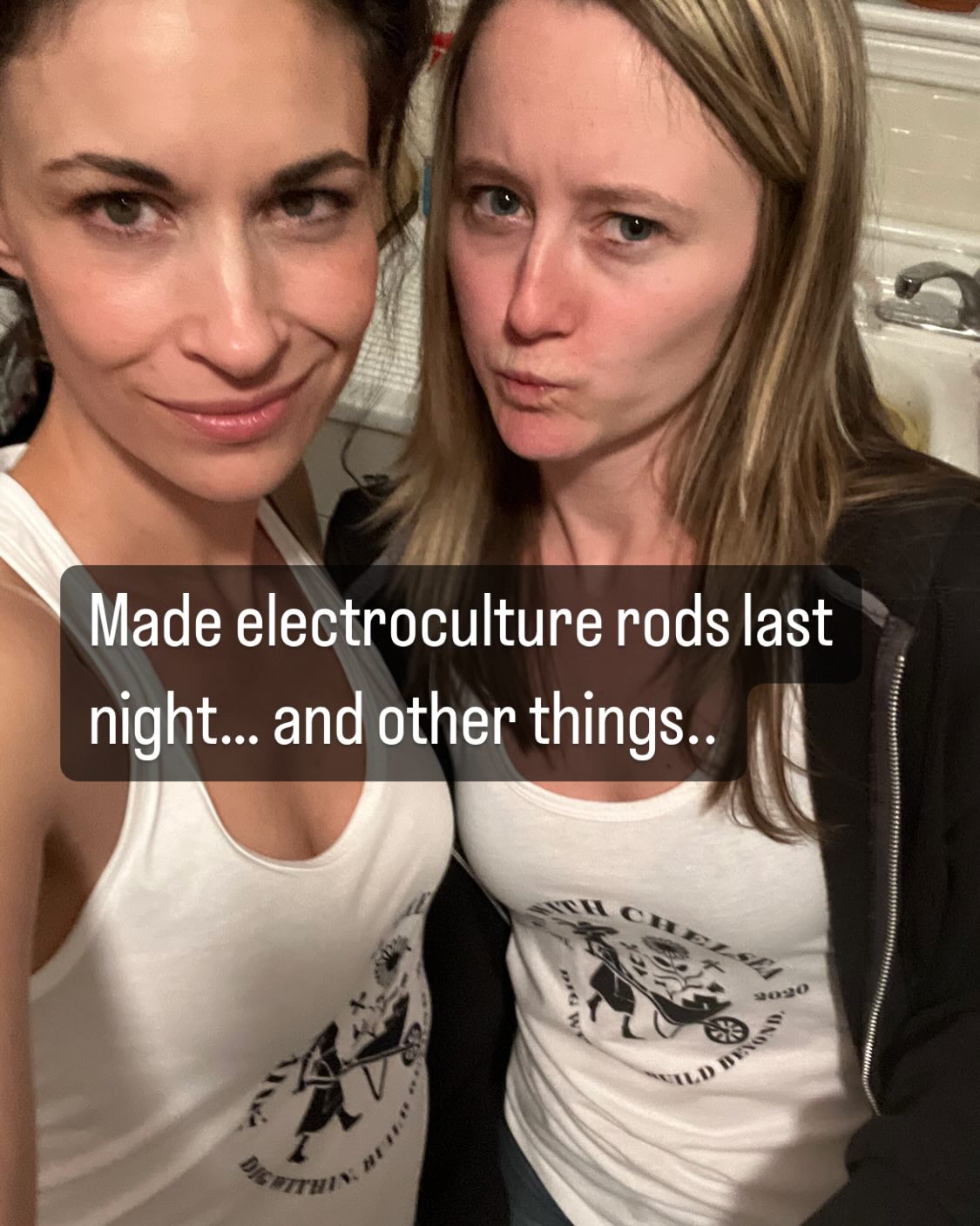 #electroculture #copper #garden #gardening #flowers #vegetables #vegan