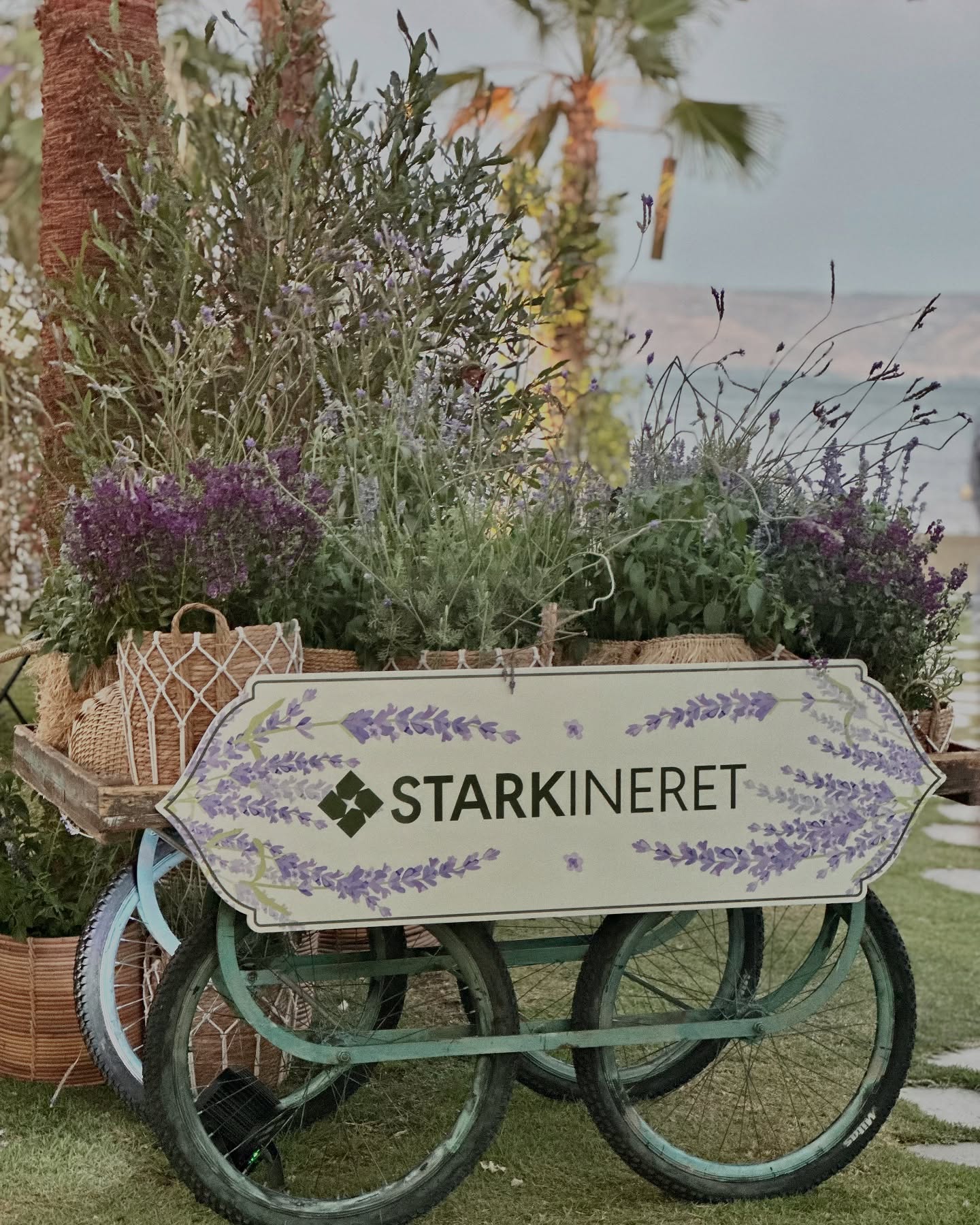  STARKINERET🪻- for @starkware_ltd
Production@soncoeventsts
Design @zagoni_goltz
#CorporateEvent #EventStyling #RusticEvent #EventDesign #OutdoorEvent #SummerEvent #EventPlanner #LavenderEvent #GreenAndLavender #RusticChicEvent #CountrysideEvent #HayDecor #PastoralStyle #BohoEventVibes #CompanyCelebration
#עיצובאירועים #הפקתאירועים #אירועחברה #אירועהייטק #אירועיוקרה #סטיילינגאירועים #אירועבטבע #אירועחוץ #אירועכפרי #אירועלוונדר #אירועקיץ #אירועסגולירוק #שולחנותמעוצבים #אירועהשראה #עיצובבקש