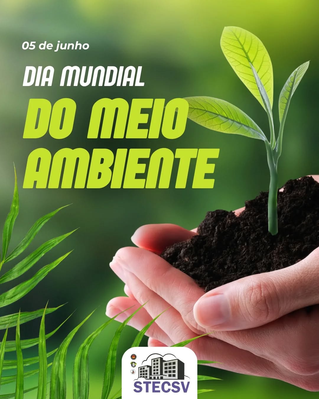 🌱 05 de Junho – Dia Mundial do Meio Ambiente
O planeta é a nossa casa. Cuidar dele é um compromisso de todos! 🌍💚
Neste Dia Mundial do Meio Ambiente, o STECSV reforça a importância da consciência ecológica, da sustentabilidade e de ações coletivas e individuais para preservar nossos recursos naturais.
Cada pequena atitude conta:
♻️ Recicle
💡 Economize energia
💧 Use água com consciência
🌳 Plante árvores
🚯 Evite o desperdício
Vamos juntos construir um futuro mais verde e saudável! 🌿
#DiaDoMeioAmbiente #Sustentabilidade #ConsciênciaAmbiental #STESCSV #SindicatoPresente #TrabalhadoresUnidos #SãoVicenteSP #CuidarDoPlaneta #AtitudeVerde #MeioAmbiente #responsabilidadesocial