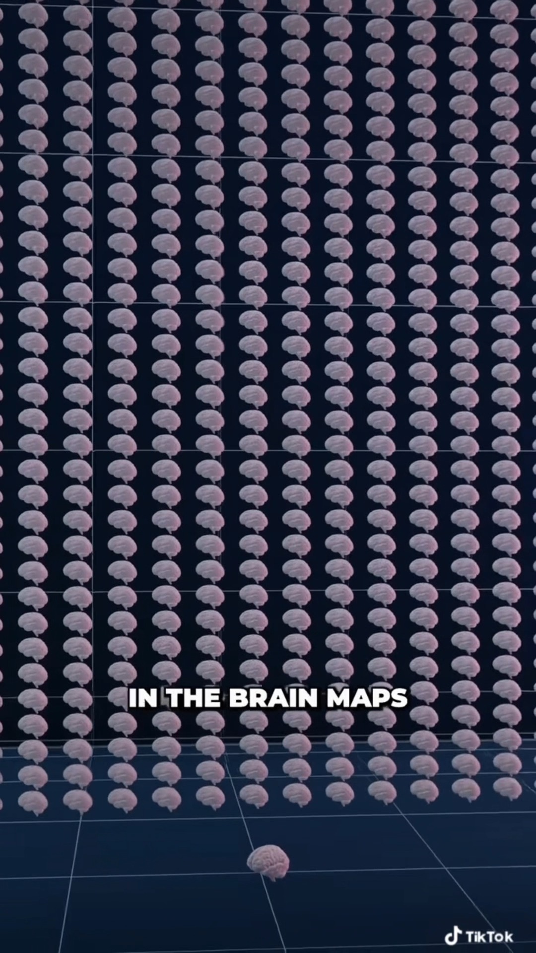 🧠 Did you know microplastics might be messing with your brain? 🧪 Tiny particles, BIG impact. It's time to think twice about what we consume—for our planet and our minds.
🚫 Say no to single-use plastic
♻️ Make conscious choices
🔍 Stay informed, stay sharp
#Microplastics #BrainHealth #PlasticPollution #EcoAwareness #Neurotoxins #HealthAndEnvironment #ThinkBeforeYouThrow #ConsciousLiving #GreenChoices
Video by: @drbenmiles