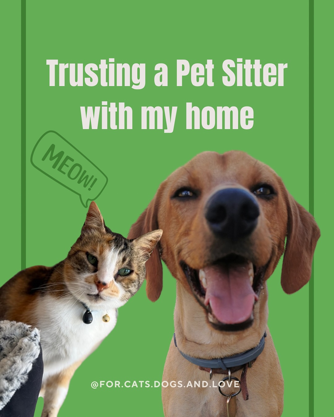 We get it - giving someone access to your home is a big deal. Here’s why you can trust us to treat your space and your pet with the care they deserve. 🏡🔐🐾🐱