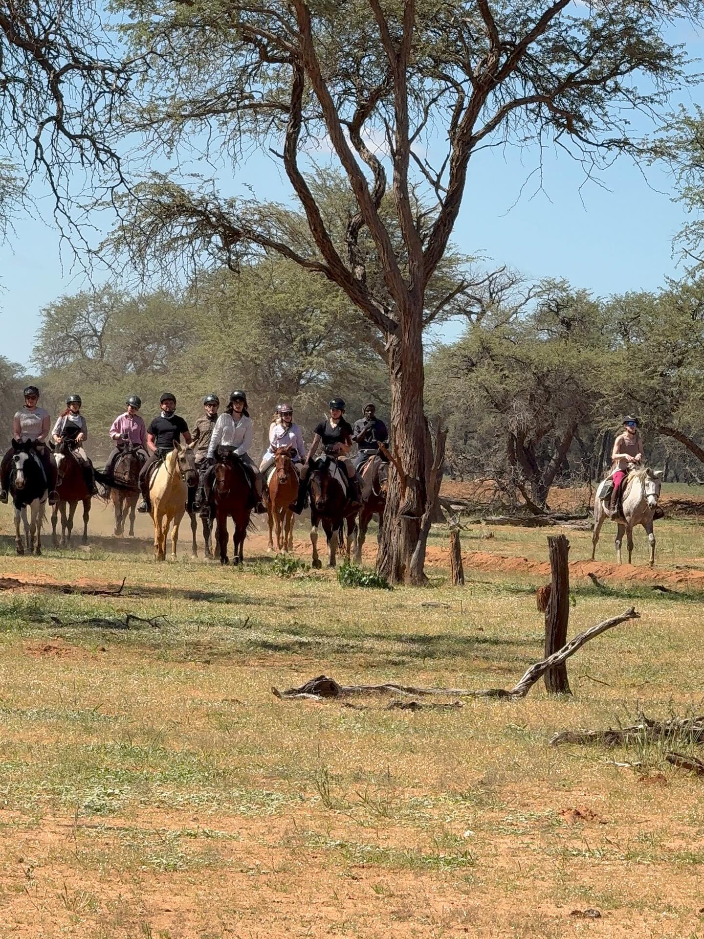 We would like to share few impressions from our horse riding Safari with a group of amazing riders from Poland 🇵🇱
#horseridingsafari #polishteam #horsesafari #horsesafarinamibia #horselife #konnesafari #namibia