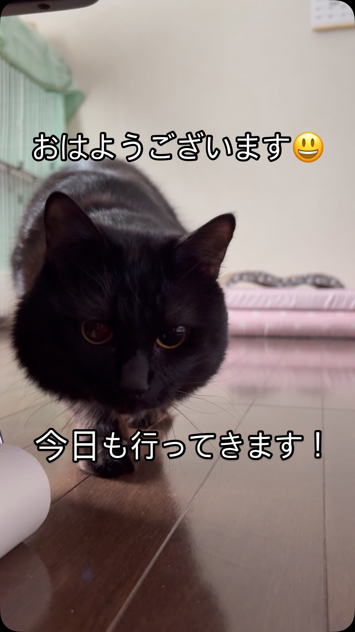 #蓮 #レインボーハス園 #生出 #生前整理 #ハウスクリーニング #八幡平市 #双頭蓮 #盛岡市 #コリーヌドゥガブリエル #遺品整理弘光 #シャーム株式会社 #岩手県グルメ #遺品整理