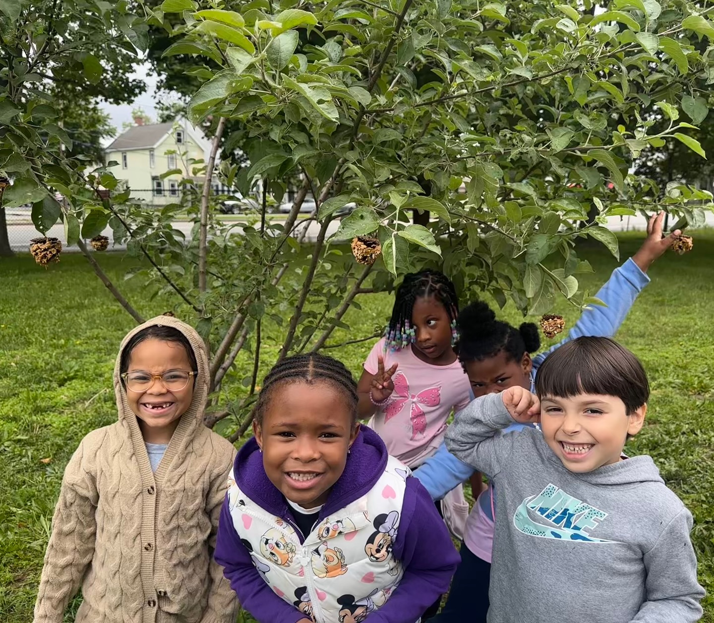 Today’s mission: build pinecone bird feeders, paint cozy birdhouses, and discover the amazing birds right outside our garden 🐦⬛☁️We had some awesome helpers make it all happen!