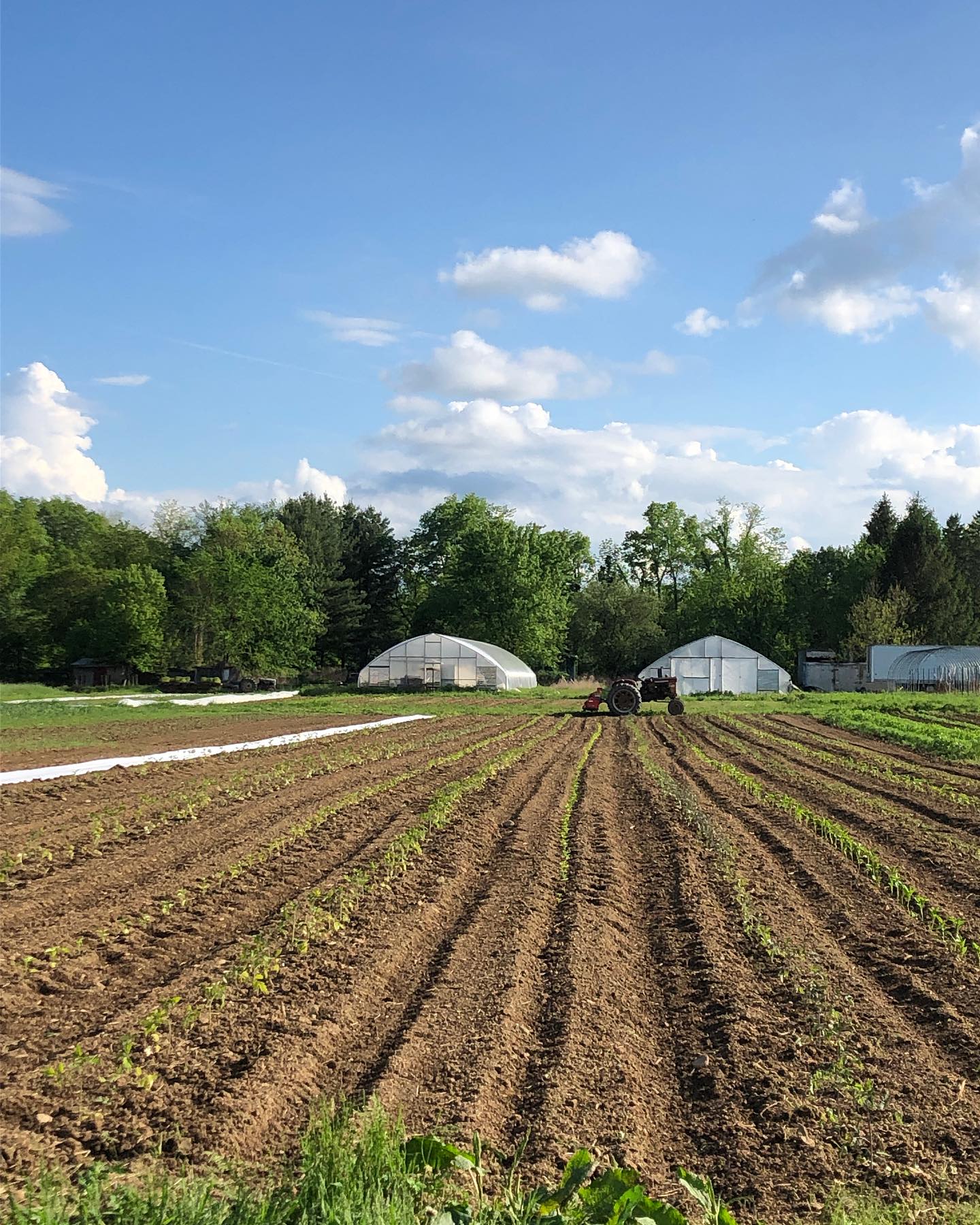 Volunteer opportunity! Help us plant trees on our farm along the river this Sunday. The time slots are 9am-1pm and 1pm-5pm. Message me to sign up!