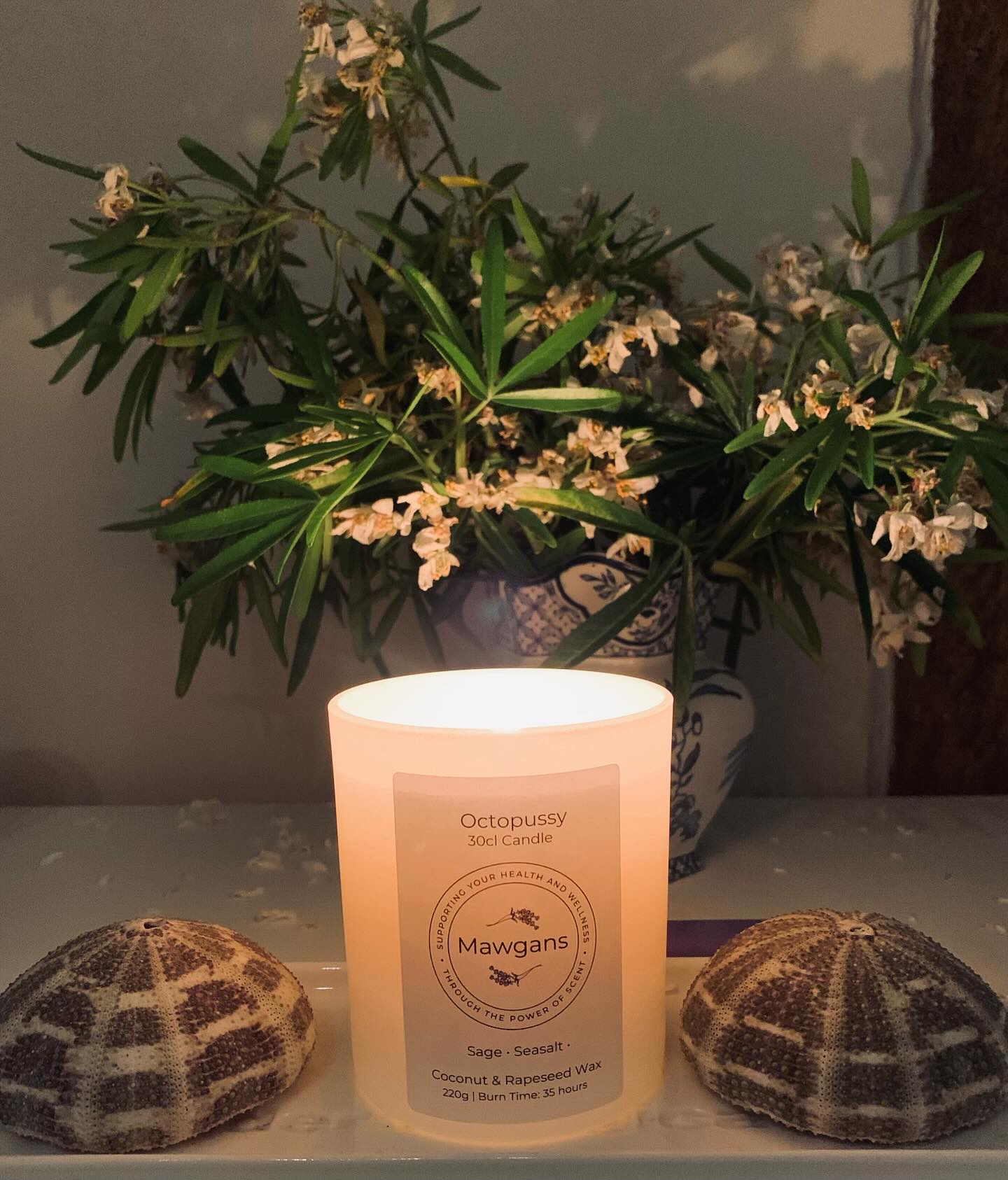 I welcome new clients at @purealton with the room smelling gorgeous for them!(@mawgans ) 😁
#evening #clients #new #relax #reflex #reflexology