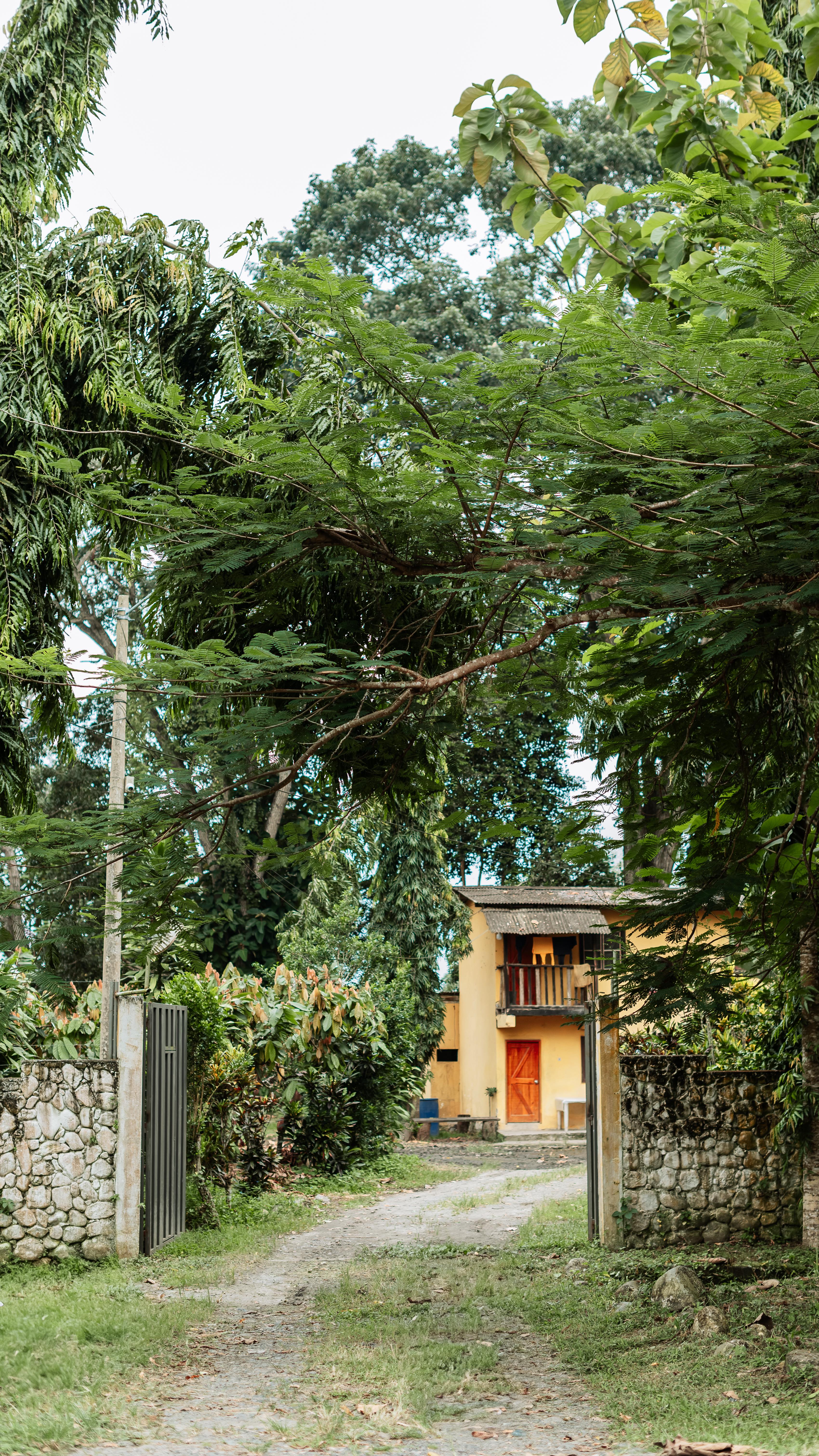 πΏ βI liked the smell, the harvest, the process.β
A simple moment from the early days at Finca SofΓa.
In just 36 seconds, she reminds us why we fell in love with cacao in the first place. π