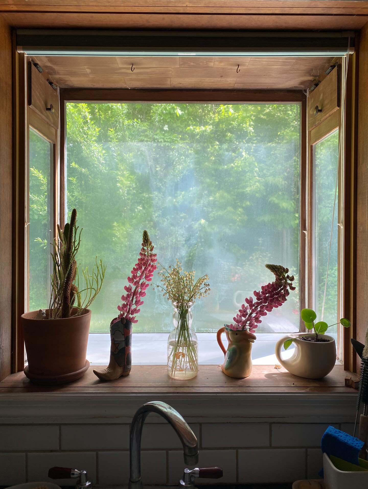 🌞☁️ MAY ☁️🌞
1) lupins, cacti, lily of the valley
2) begonia people + one blueberry man
3) cyanotype, @toadintheholestudio block prints and loon @sugarhousecreamery
4) some days were sunny!
5) lilac from our own bushes 🥲
6) this fun guy at work
7) indoor cat experiences world outdoors
8) out with the old
9) columbine or fairy?
10) gouache geese
11) lupins lupins lupins! at work
12) Daniel made a beautiful woodpile to keep us warm next winter, loon helped
13) these streamers remain one of the best things I’ve ever bought
14) i love to hate this guy
15) gosling neighbors
16) my grandma May sewed custom tags into her knitting. She was a creator and a resilient spirit. Thought of her in her namesake month.