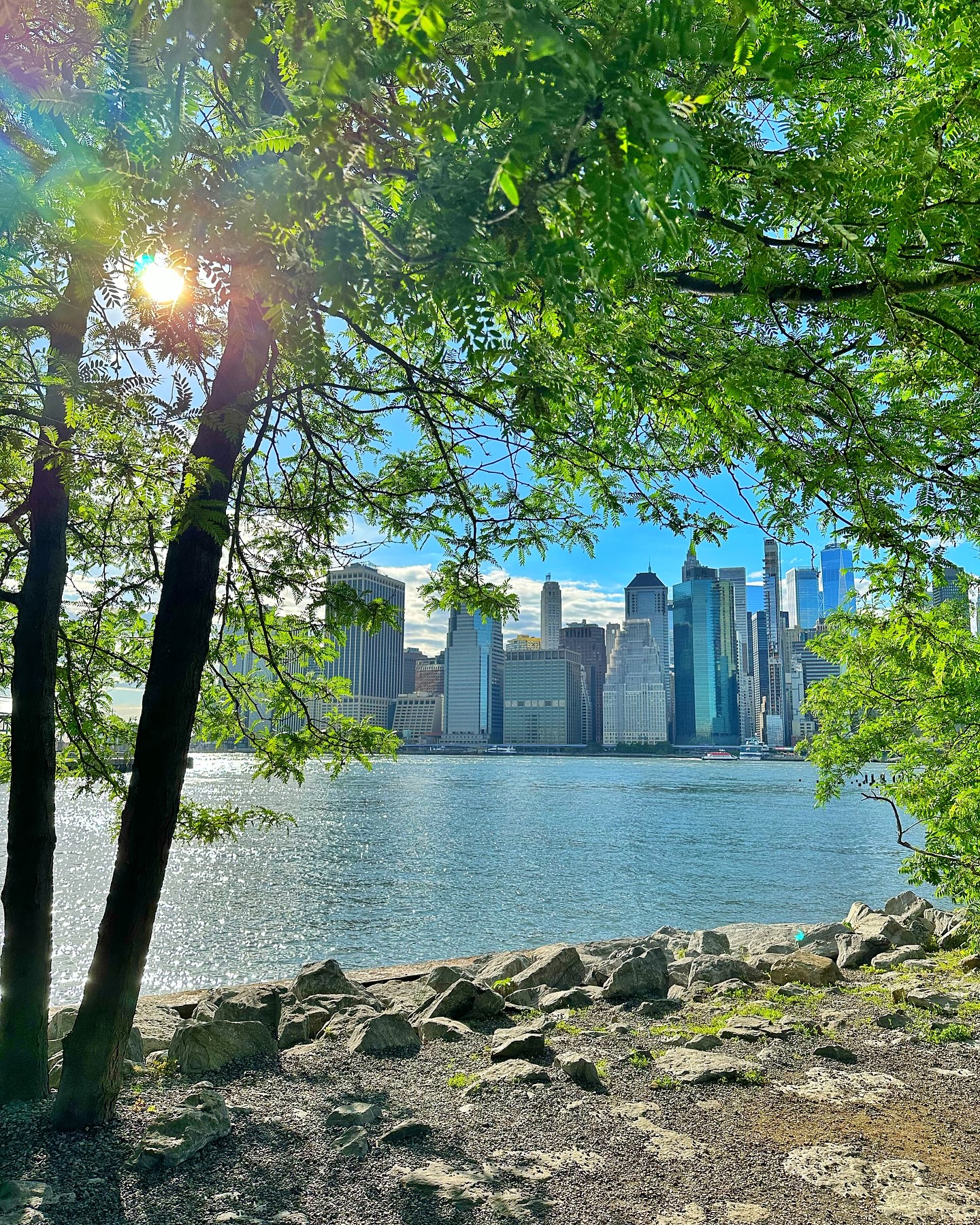 Bridging the gap between Brooklyn and Manhattan. 🌉
•
•
•
•
#Brooklyn #BrooklynBridge #ManhattanBridge #DUMBO #NYC #Wanderlust #WorkLife