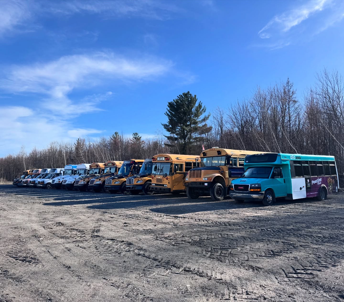La cours arrière est bien remplie, ça rouuuuuuule🤪🚌💨
#buslife #skoolie #backyard #keeprolling