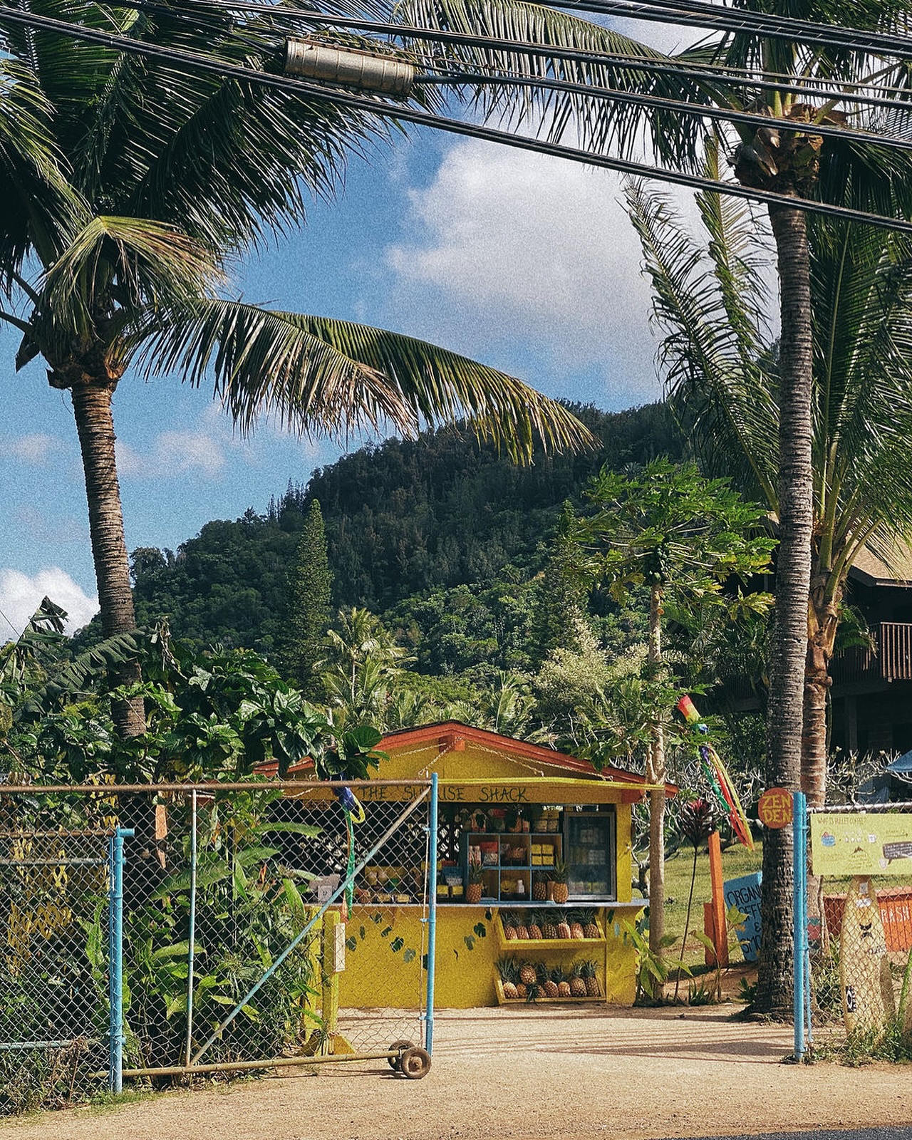 the kind of place you stop for mango and stay for clarity.
#jidaibeauty