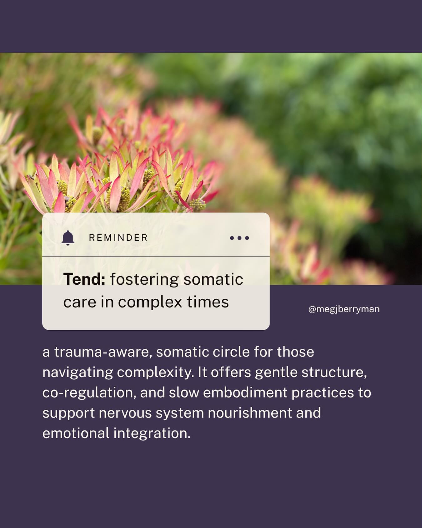 What if tending to yourself wasn’t a luxury…
but a form of quiet, everyday resistance?
What if the rhythms of care, rest, reflection, and reconnection weren’t things we had to earn after burnout…
but ways of staying tethered to life before we unravel?
Tend is a seasonal space for folks who are navigating the complexities of leadership, caregiving, activism, parenting—or simply being human in these times.
It’s not about fixing.
It’s about softening.
About having a place to land.
To be witnessed.
To come back to yourself, gently.
Through monthly calls, shared reflection, and small, meaningful practices, we create a web of support that honours your unique capacity and rhythm.
This is care for the carers.
So you don’t have to carry it all alone.
🌿 Link in bio to join us or learn more. We start 30 June and just a handful of spaces left.
#TendTheSelf #SeasonalHealing #SomaticCare #RegenerativeLiving #RestAsResistance #TraumaInformedSpaces #WomenWhoLead #HealingInCommunity #CoachingForBurnout #NervousSystemSupport #FeministRecovery #TendingTheRoots #GentleLeadership #CareIsAPractice