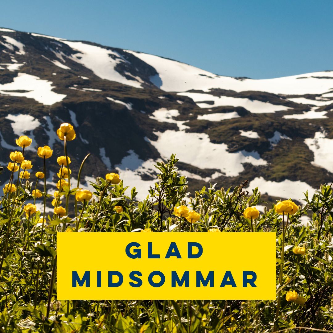 Vi önskar alla en glad midsommar. Här i Kiruna har det blivit grönt och blomstrande. En bild från fjällen i Abisko tycker vi ger en fin midsommarkänsla.
#midsommar #kiruna #fjäll #abisko