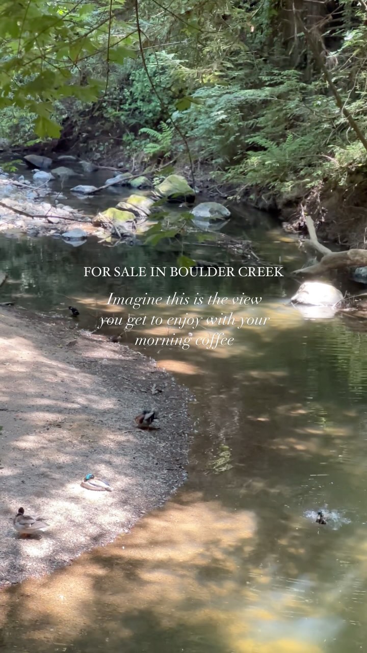 The cutest house for sale in the Santa Cruz Mountains. Did I mention it’s currently listed for under $600K? 🤭🦆✨
548 River Rd, Boulder Creek
2 bedroom, 1 bathroom + bonus workshop space
2 story deck overlooking the San Lorenzo River
& a family of ducks living along the property’s edge
Listed by yours truly!
What’s not to love! Check out more details
🔗 link in bio 🔗
✨🏠✨🏠✨
If you want to tour this property, text / call me at
(831) 337-8232
𓅯 bailey copley
realtor® |📱(831) 337-8232
𓅯𓅛 follow along to learn more about santa cruz real estate & see new local homes for sale every week! @home.with.bailey
𓅯𓅛𓅯 Join 500+ of us on my email newsletter with more tips, investment insights, & exclusive properties for sale. (Link in bio🔗)
REALTOR® | BC ESTATES & HOMES
🌲CA lic#02148293 | @solpropertyadvisors powered by roomrealestate 🏠
#santacruzrealtor
#santacruzmountains
#movingtocalifornia
#santacruzrealestate #mountainlifestyle