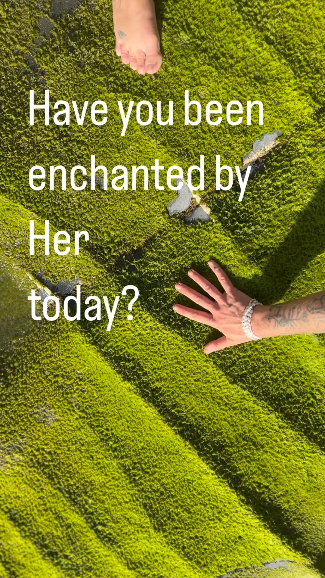 #sacredfeminine #tantra #yoga #spiritualstudy #embodiment #greentara #transmission