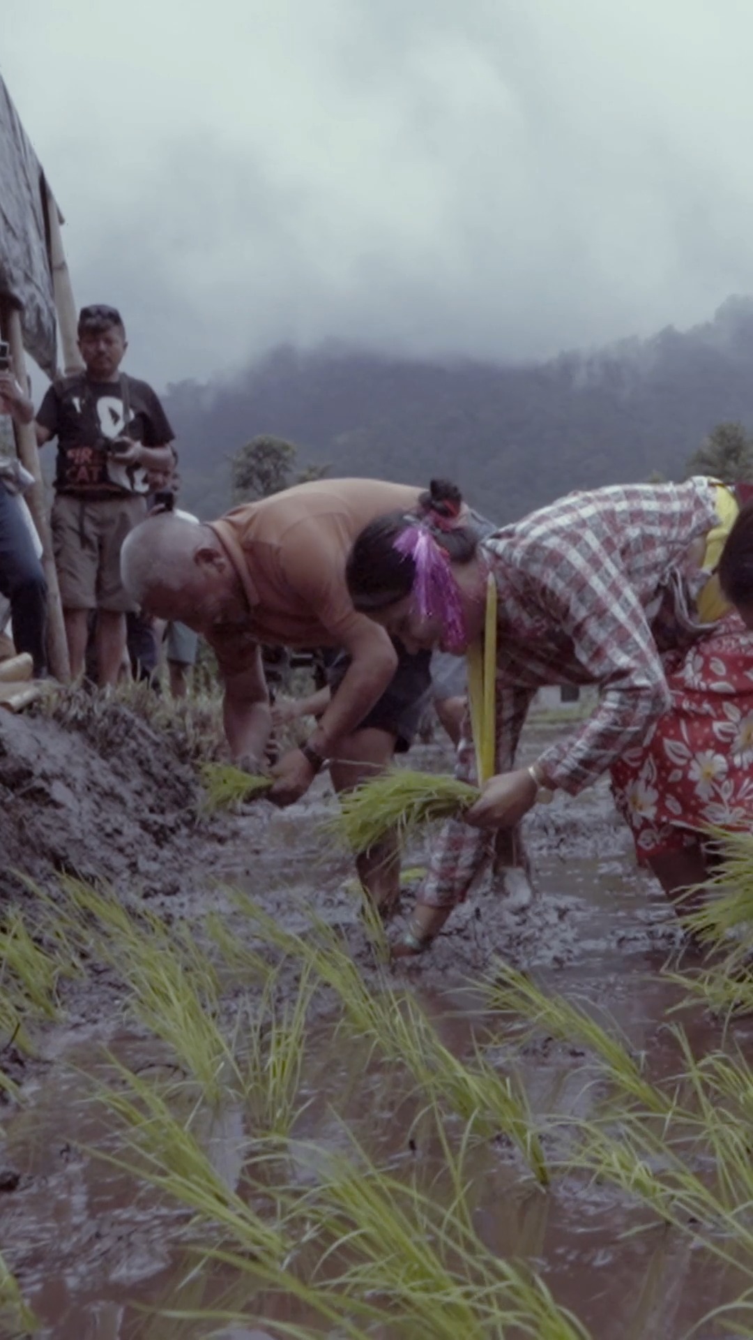 Step into the joy of rain-soaked fields, the warmth of shared meals, and the laughter of muddy games — Asaar Pandhra is not just a festival, it’s a celebration of everything that connects us: community, nature, food, and memory.
From planting paddy with your bare hands to watching folk performances under grey monsoon skies, this is a space where children and grown-ups alike can let go, slow down, and truly belong. It's a chance to savour the season, honour our farmers, and rediscover something we often forget — how freeing it feels to be close to the earth.
Join us in Parengtar from 27–30 June for an experience that brings together people, purpose, and the pulse of rural life.
Registrations are now open — we can’t wait to welcome you.
Link in bio.
#AsaarPandhra2025 #CommunityFestival #MonsoonCelebration #SustainableTourism #FestivalOfTheFields #EasternHimalayas #MuhaanMoments #FamilyFriendlyFestival #RuralRoots