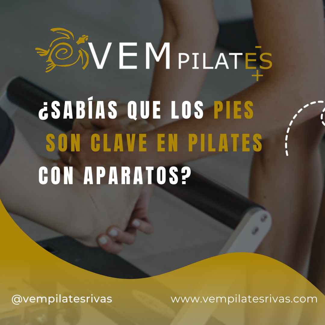 ¿Sabías que tus pies son clave en Pilates con aparatos?
Son la base de tu cuerpo y el punto de conexión con el aparato.
Al colocar los pies correctamente, activas músculos, mejoras la alineación, potencias el equilibrio y desarrollas una mayor conciencia corporal.
💡 Consejo: Imagina que tus pies se “agarran” al aparato para tener mejor control y estabilidad.
🌟 Descubre el poder de cada paso en VEMPILATES
💜 Reserva tu plaza y empieza a transformar tu forma de moverte con nosotros. ¡Te esperamos!