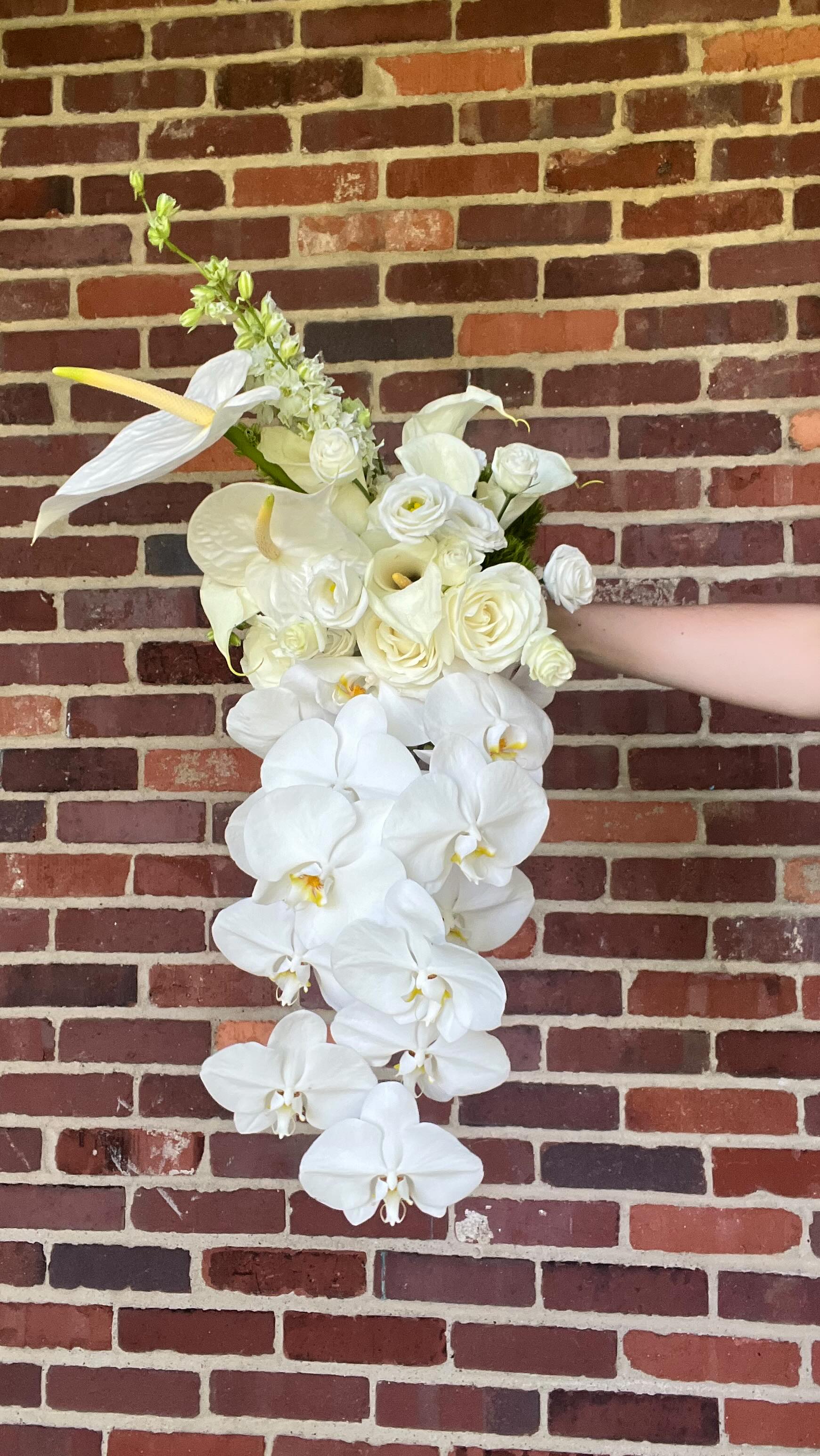 Are you struggling to find your wedding florist? Let’s chat.
A little about Flora + Root Studio:
🌹 YOUR wants and needs come first
🌹 We don’t need to be traditional, let’s have fun and mix it up
🌹 I don’t believe in gate keeping pricing info, let’s talk numbers so we can find your comfort
🌹And always, always, always gorgeous blooms
#pittsburghflorist #washingtonpaflorist #pghflorist #floraandrootstudio #mcmurrayflorist #canonsburgpa #pittsburghwedding #pghwedding