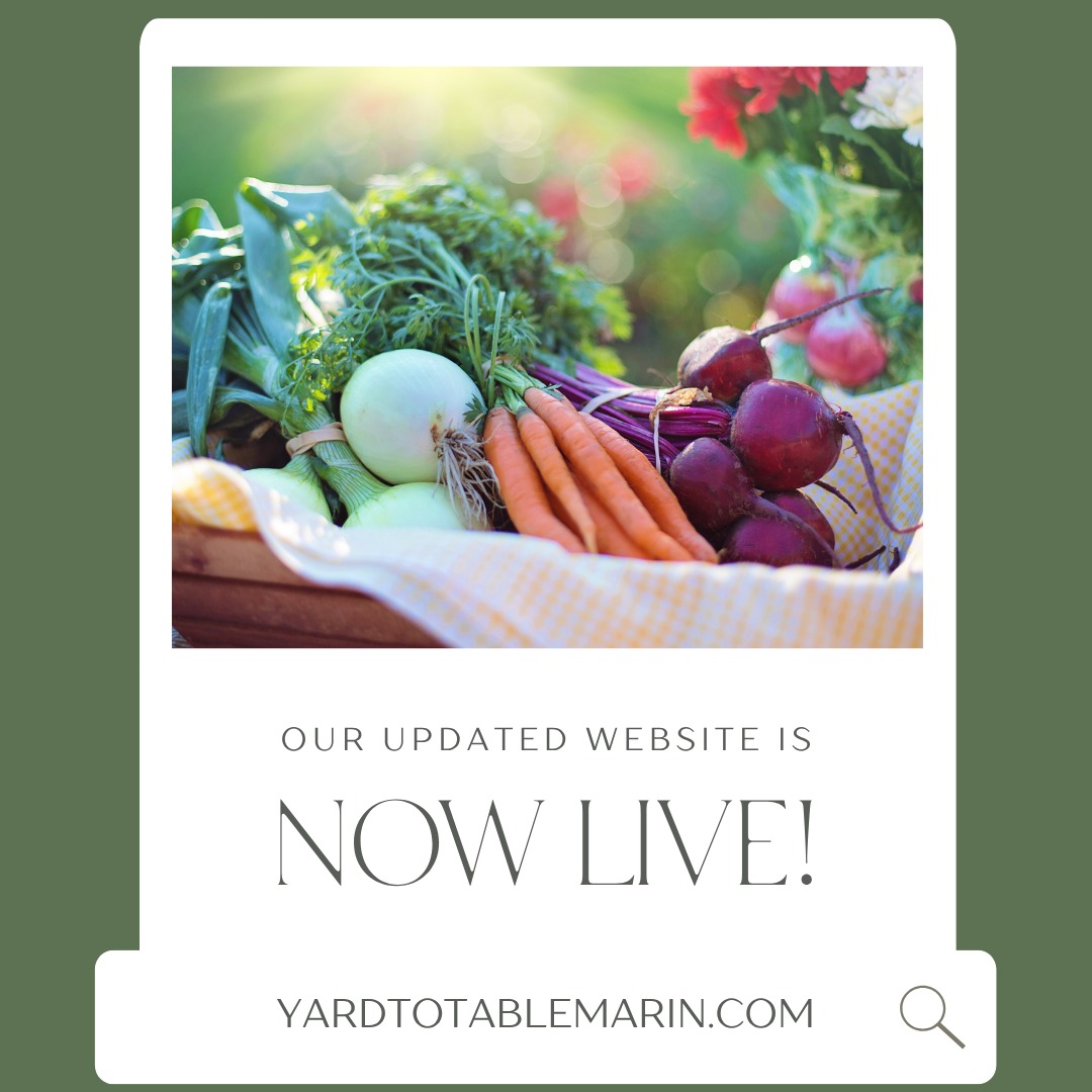 We are excited to announce that our updated website is now live! Come check it out at www.yardtotablemarin.com.
Stay tuned for more updates soon, including a store & Yard To Table recipe section! Join us and sign up on-line today.