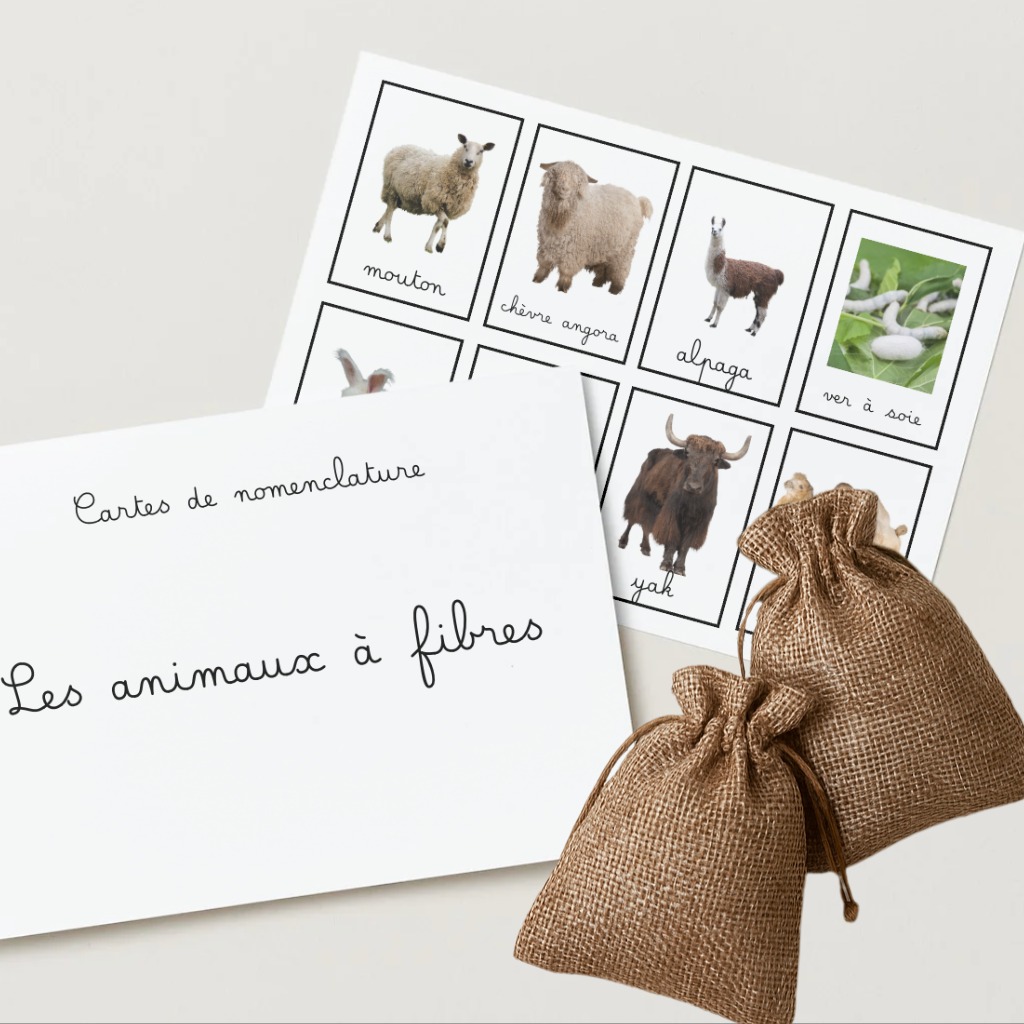 🧶✨ Je suis très heureuse de vous présenter les kits pédagogiques du Panier d’Augustine !
Aujourd’hui, on part à la découverte des fibres animales 🐑🐐🦙🐇🐫🐛🐃
J’ai imaginé ce kit pour les enfants curieux, ceux qui aiment toucher, apprendre, explorer…
À l’intérieur, on retrouve des échantillons tout doux :
✨ laine de mouton
✨ mohair
✨ alpaga
✨ angora
✨ cachemire
✨ soie
✨ poil de yak
✨ poil de chameau
🔍 Chaque fibre est différente par sa texture, sa provenance et son histoire. Une belle occasion de découvrir les animaux autrement, par le toucher et la matière.
📚 Le kit peut être accompagné de cartes pédagogiques à télécharger gratuitement sur mon site, pour associer chaque fibre à l’animal dont elle provient. Une activité ludique et sensorielle à partager en famille ou en atelier !
🗣️ Dis-moi en commentaire : quelle est ta matière préférée ?
#kitsensoriel #fibresanimales #laine #soie #alpaga #kitpédagogique #apprendreenjouant #éveilnature #petitexplorateur #aupanierdaugustine #pédagogie #montessoriathome #montessori