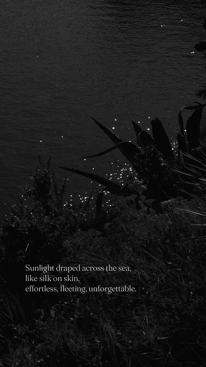 Beauty lingers in the smallest moments, dances in the shadows and blooms endlessly all around. ✨