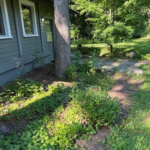 Yikes! The carriage house planting beds need some TLC! Come help us tidy up in time for the upcoming summer kids camps in the park. We will be weeding from 9:30AM to 11:00ish on Saturday, June 21. We have a trunk full of tools to share; all we need is YOU! 🌼
The carriage house is located on your left as you enter the park from Madison Street.