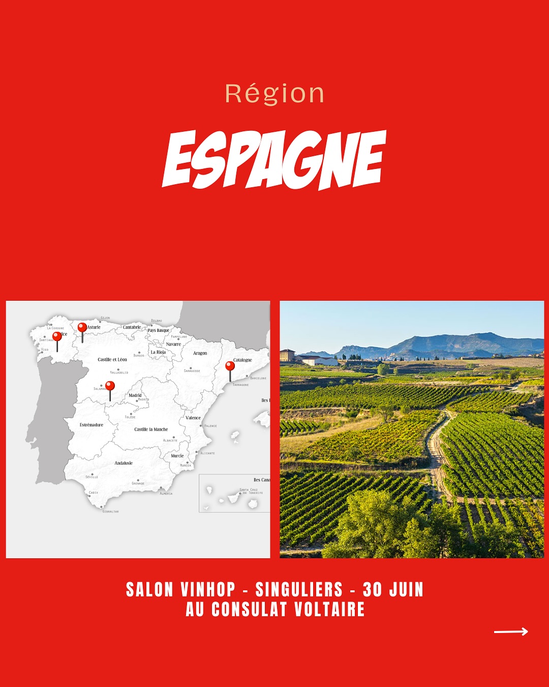 À la rencontre des vignerons d’Espagne.
@comandogviticultores
@cellers_joan_danguera
@veronica_ortega_vo
@fedellosdocouto
@venusuniversal
@viticolamentridana
Venez les découvrir lors de notre salon SINGULIERS, où plus de 90 vignerons seront présents.
📍Le Consulat Paris 11ème
📆 30 juin 2025
‼️Réservé aux professionnels - lien d’inscription en bio