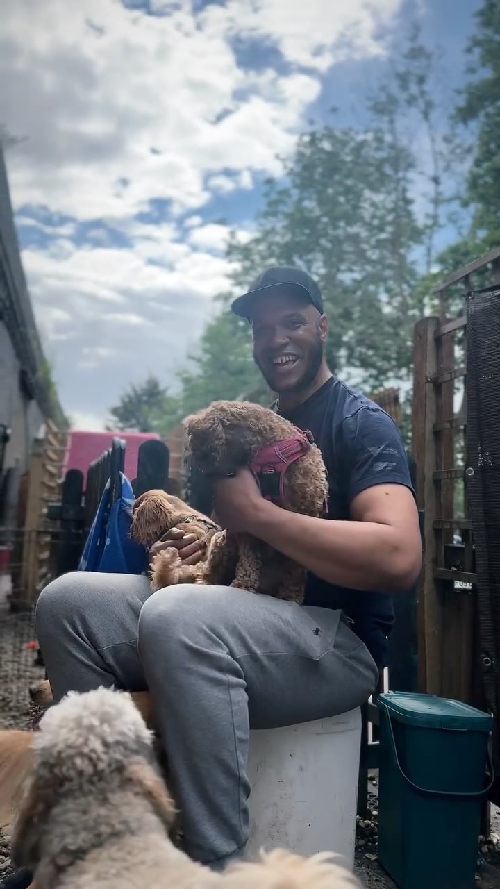 Dogs = happy
#dogdaycare
#doglovers
#happydog
#happyhuman
#smile
#happiness
#love