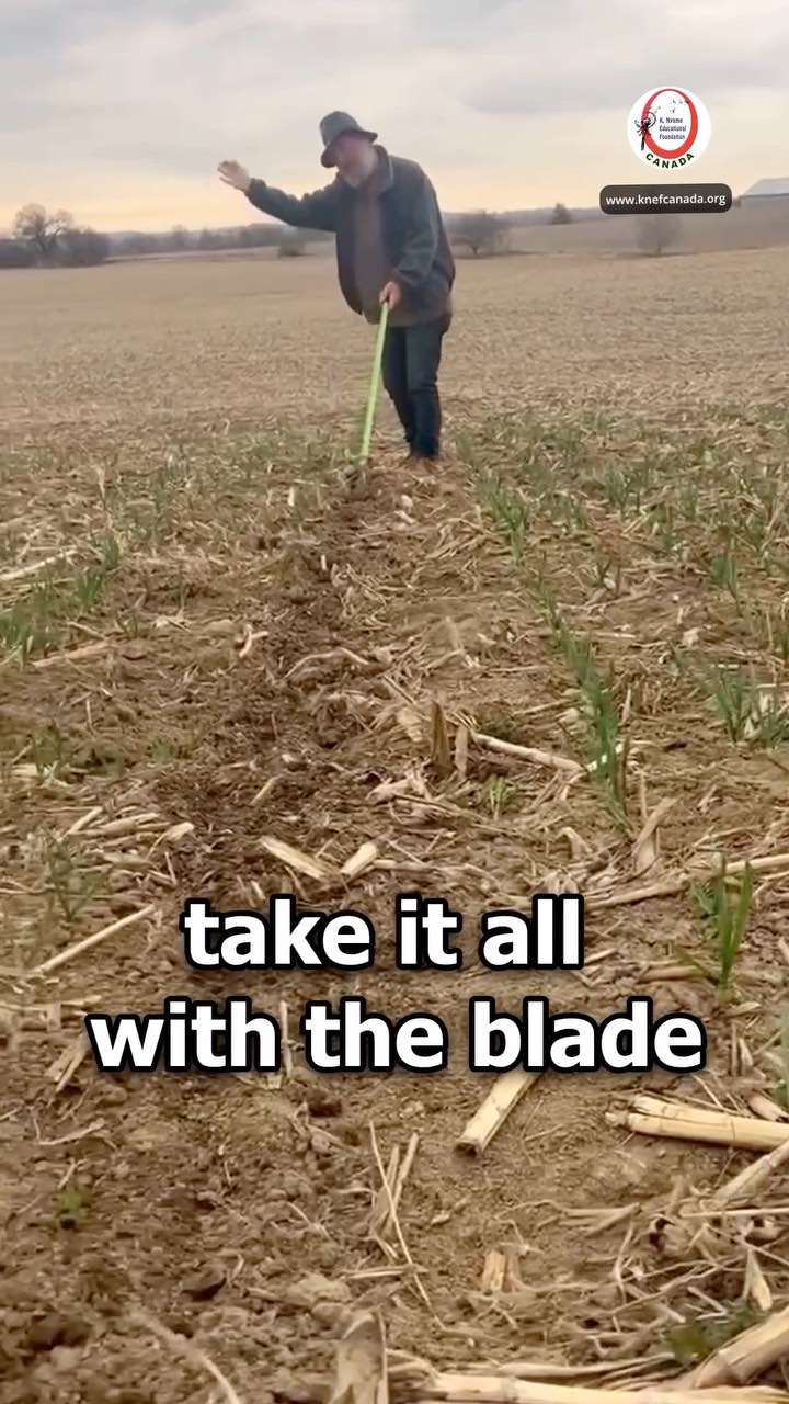 Due to soil erosion caused by rain and snow, much of the garlic harvest got buried beneath the surface. To make the rows visible and easier to access, we had to carefully scrape beside the plants, clearing paths for movement and maintenance. We’re now excited to welcome our @knefcanada volunteer for the upcoming regenerative farming workshop, where we’ll continue restoring and improving our farming practices together.
#regenerativefarming #sustainableagriculture #garlicharvest #knefcanada #farmingworkshop