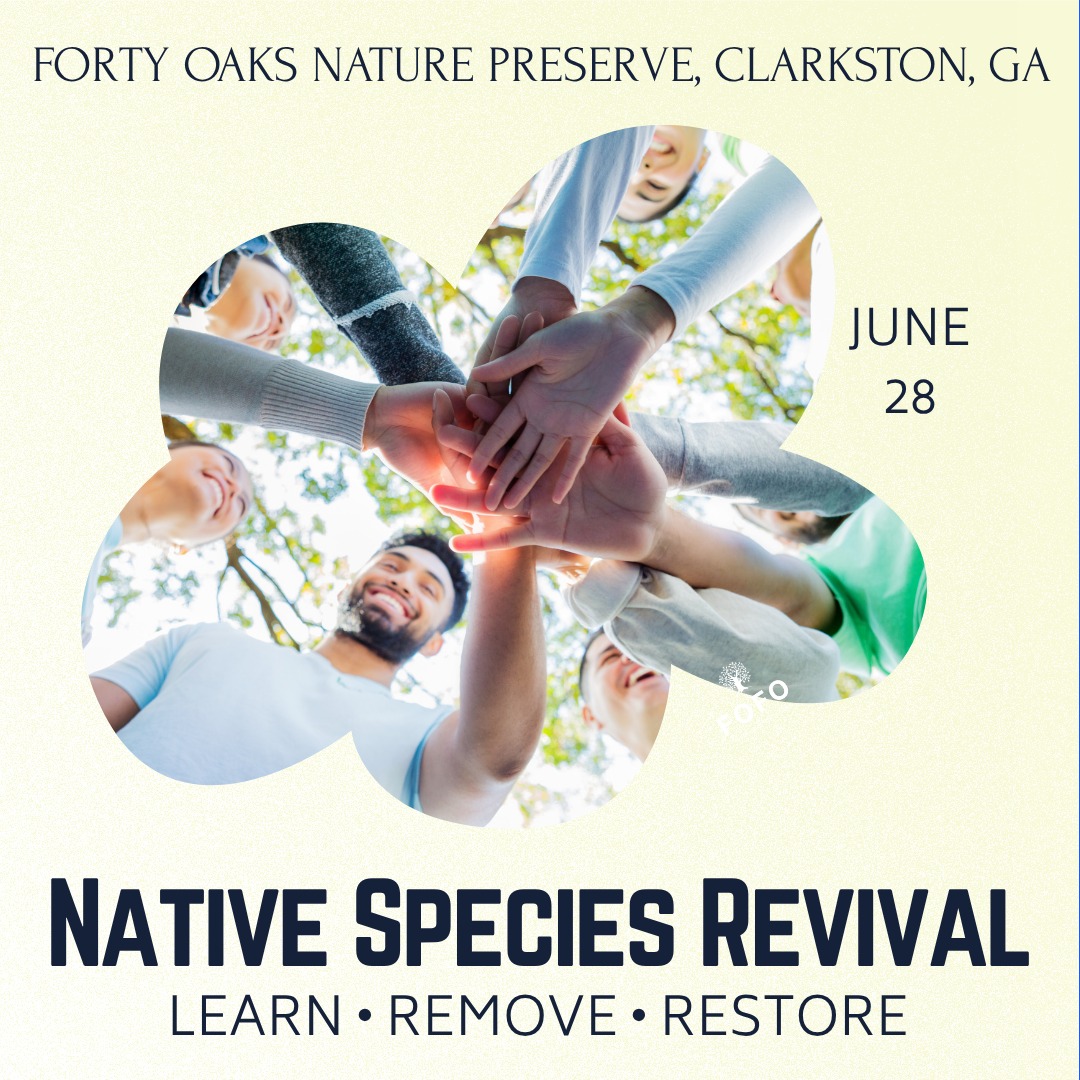 📣 Join us at Forty Oaks Nature Preserve! 🌳✨
Friends of Forty Oaks is hosting a Displaced Species Workshop & Free the Trees cleanup on Saturday, June 28, from 9 AM–12 PM. Special guest: David Long @gatrees
🔍 Learn to identify invasive plants
🌱 Pull and bag unwanted species
🌿 Remove ivy choking our trees
Feel free to bring your own gloves and garden tools (hand pruners, weed wrench, loppers)—we’ll have extras, but more tools mean more impact!
This family-friendly event is free and open to everyone in the Clarkston community.
Let’s work together to restore and protect our beautiful green space! See you there. 🌎💚
#FreeTheTrees #InvasiveSpecies #CommunityCleanup #BringYourTools #FriendsOfFortyOaks #clarkstonga