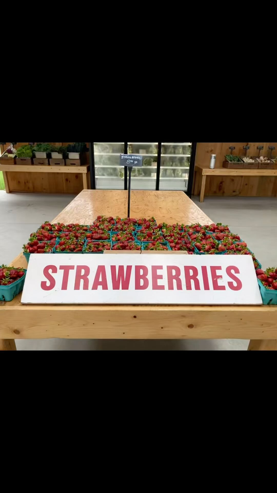 Trying to maintain some good vibes here at the farm.
Made it through this little heat wave—what will be next?!
:
Open daily—more veggies rolling in everyday.
Picking #strawberries everyday! We grow all our own!
#nhfarming #eatwiththeseasons #pickedfresh #goodvibes