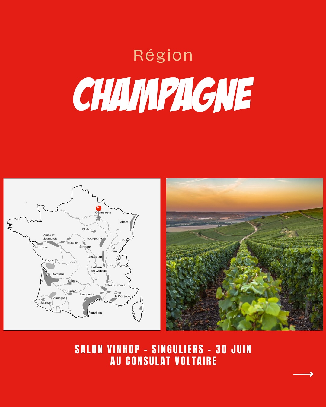 À la rencontre des vignerons de Champagne.
@bereche_champagne_officiel
@champagnesavart
@champagne_marguet
@champagnepouillon
@domainelarogerie
@etiennecalsac
@champagnelouisebrison
@champagnetellier
@champagne_dehours
@champagnegeoffroy
@paul.girard.bonnet
@laherteaurelien
@champagne_pierre_paillard
@domaine.lesmontsfournois
Venez les découvrir lors de notre salon SINGULIERS, où plus de 90 vignerons seront présents.
📍Le Consulat Paris 11ème
📆 30 juin 2025
‼️Réservé aux professionnels - lien d’inscription en bio