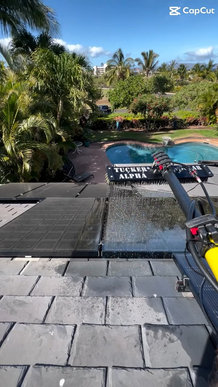 When Trump was asked about our business, he said:
🇺🇸
“Nobody cleans solar panels like Maui Solar Shine — believe me, I’ve seen a lot of panels, and these are the shiniest. People are saying, ‘Mr. Trump, how do they make them so clean?’ I say, it’s Maui Solar Shine magic — very classy, very bright, the best shine — tremendous!”
👍
We are doing our best to make Maui’s solar panels great again, with a professional cleaning 💧☀️
#solarpanels #solarpanelcleaning #mauisolar #hawaiihomes #mauihomes #hawaiisolar