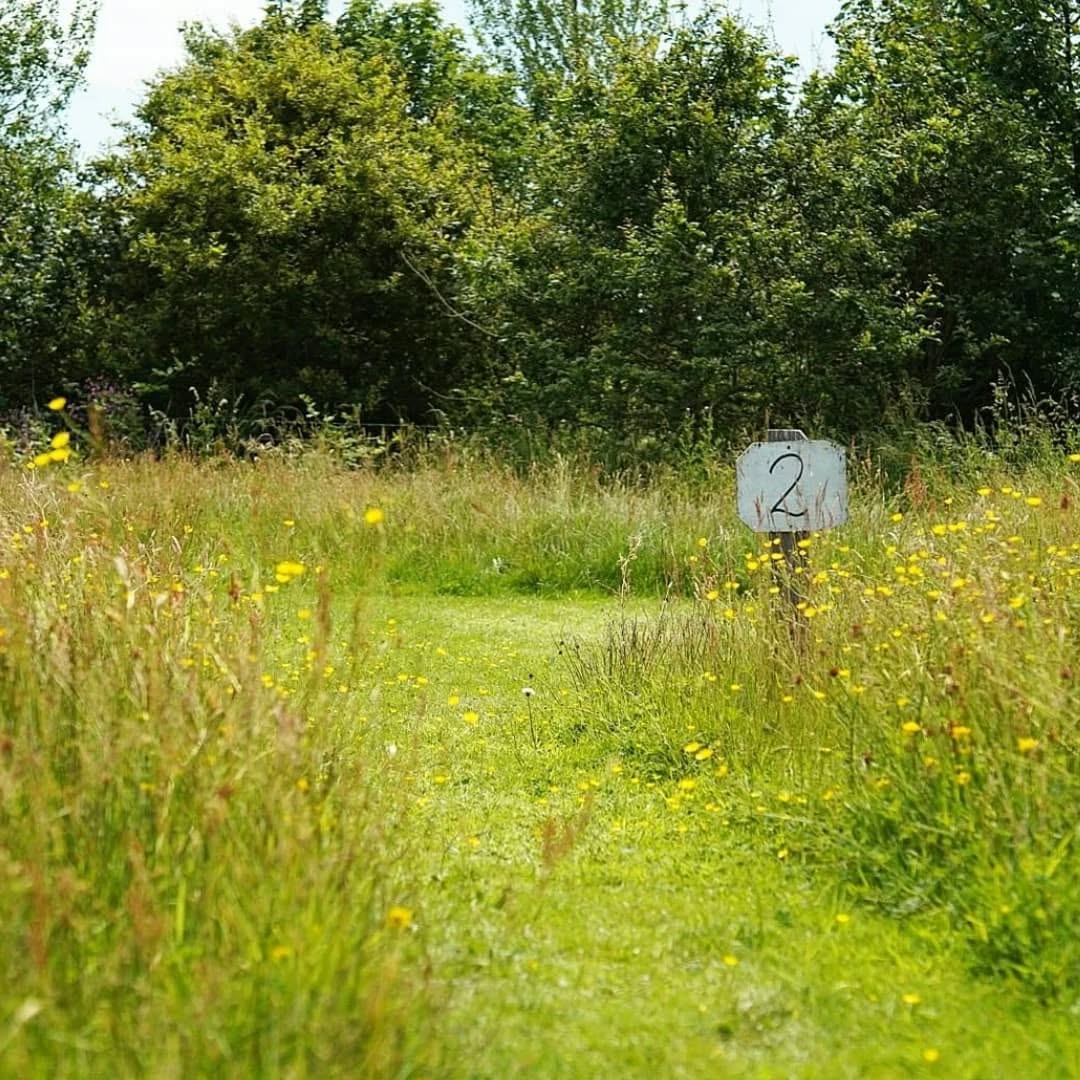 Meadow Camping 🏕
Book to stay with us through Hipcamp (Linked on our profile) & enjoy all that the summer has to offer here ~ with woodland and farmland walks, gardens roundhouses, an obersarvatory, a cafe, and a craft & farm shop to explore onsite 🌱
Facilities: Communal fireplace, 3 compost loo's, 2 hot/cold showers & shared trolleys to help with carrying your luggage
Farm shop onsite selling organic fruit & veg and wholefoods (open everyday 10-6)
@caffirfelin open: Friday ~ Sunday & Monday Bank Holidays (10-4, kitchen closes 3pm)
For events and workshops please head over to our website🌻
...
Dewch i wersylla yn y ddôl a mwynhewch bopeth sydd gan yr haf i'w gynnig yma yn Felin Uchaf gyda llwybrau coetir a tir fferm, adeiladau eco, caffi, siop a gerddi ar y safle 🌱
Cyfleusterau: Lle tân cymunedol, 3 toiled compost, 2 gawod boeth/oer a throlïau a rennir i helpu gyda cario eich bagiau
Siop fferm ar y safle sy'n gwerthu ffrwythau a llysiau organig, a bwydydd cyflawn (ar agor bob dydd 10-6)
Caffi ar agor: Dydd Gwener ~ Dydd Sul a Dydd Llun Gwyliau Banc (10-4, mae'r gegin yn cau 3pm)
Am fanylion gweithdai a gwahanol gweithgareddau edrychwch ar ein gwefan🌻