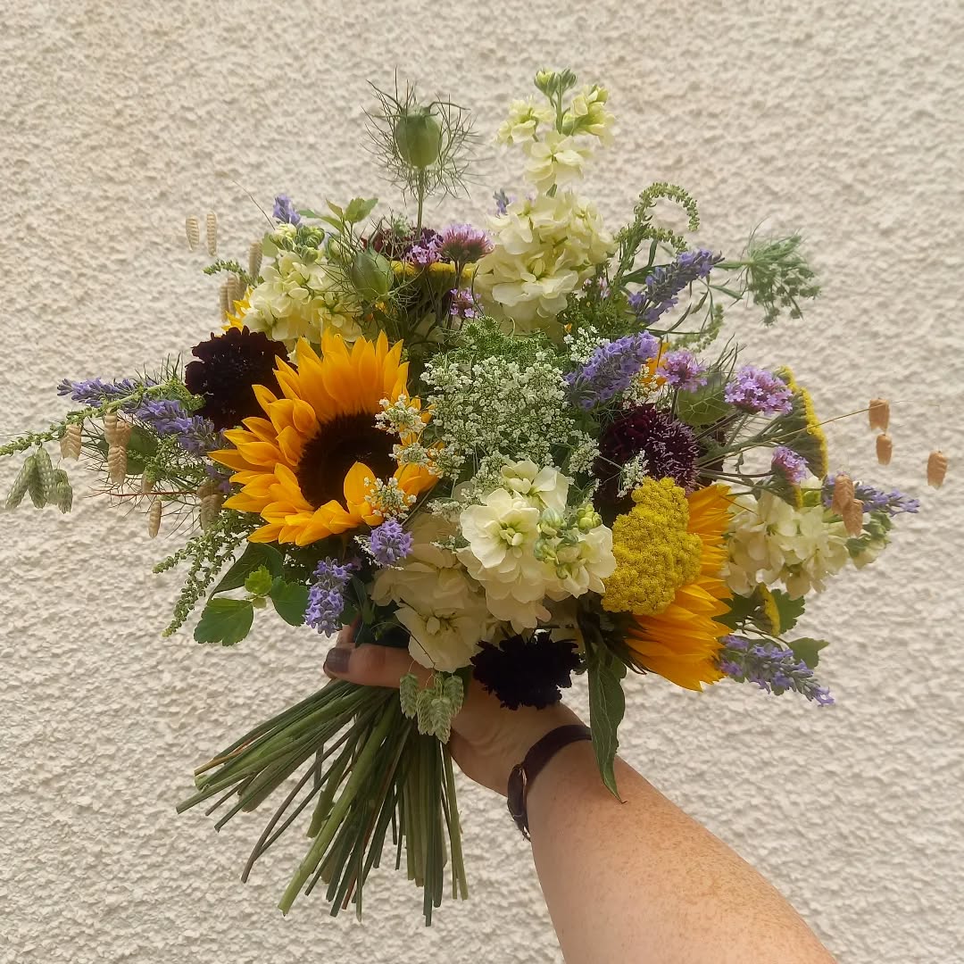 A bunch of British grown beauts to celebrate British Flowers Week 💐
So pleased my Scabious Black Knight lasted through the winter and has started to flower again!
#britishflowersweek
#britishflowers
#handtiedbouquet
#bouquet
#surreyflorist
#surreyweddingflorist
#carshalton
#carshaltonbeeches