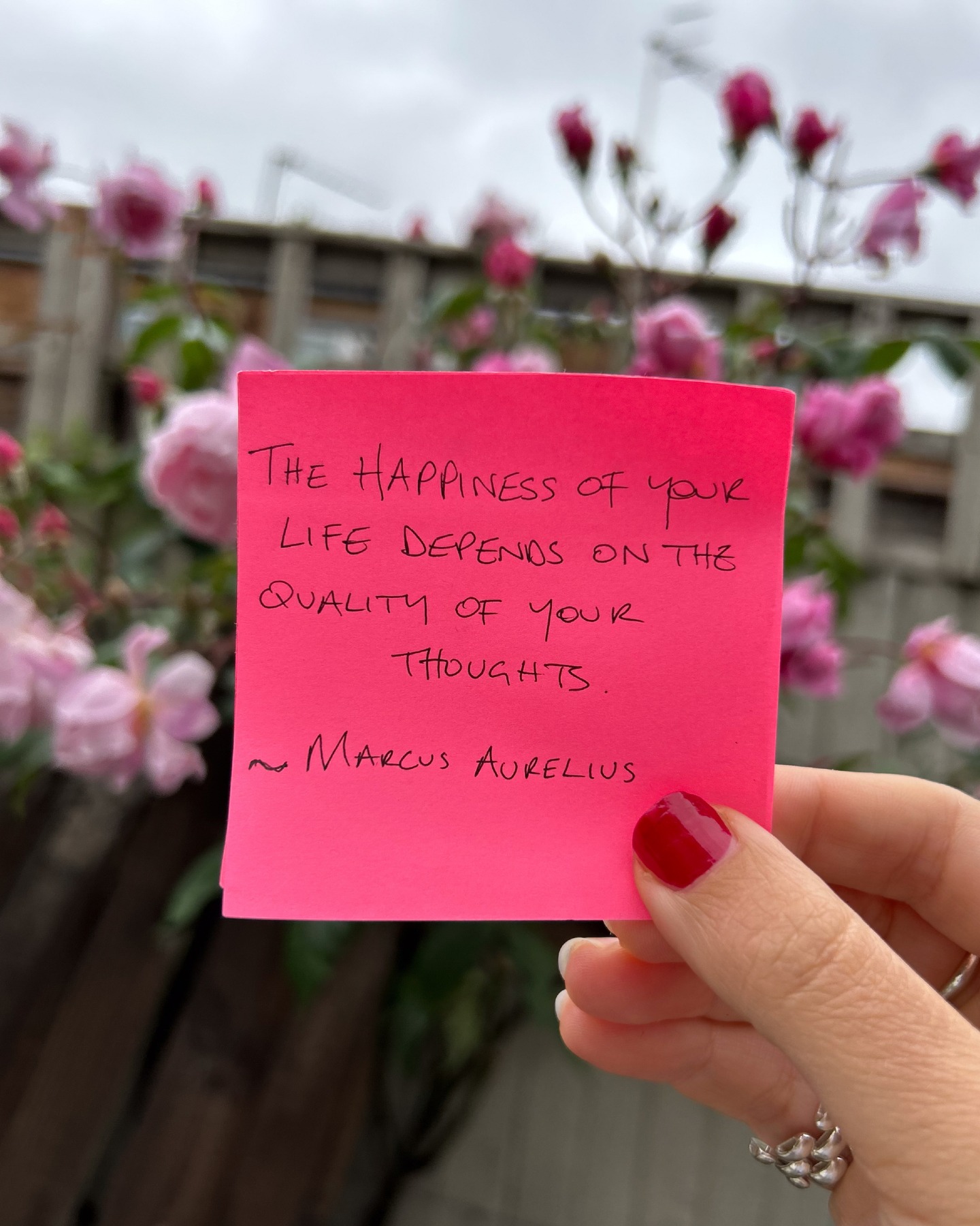 I think Marcus was onto something here. What are you doing to enhance the quality of your thinking?
#coaching #creatives #entrepreneurs #foryou #wellness #enhanceyourlife #coaching #wholisticliving #countercultural #awareness #gainclarity
