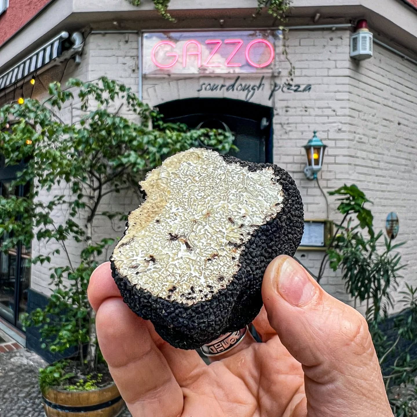 There’s nothing quite like fresh truffle. We source this summer truffle from Luca’s friends in the hills of Irpinia, Campania. They are sent fresh to us on the same day as they are foraged.
We pair the truffle with potato confit, which gives the richness needed with the truffle. We then add finely chopped sage, and mascarpone 🍄🍕