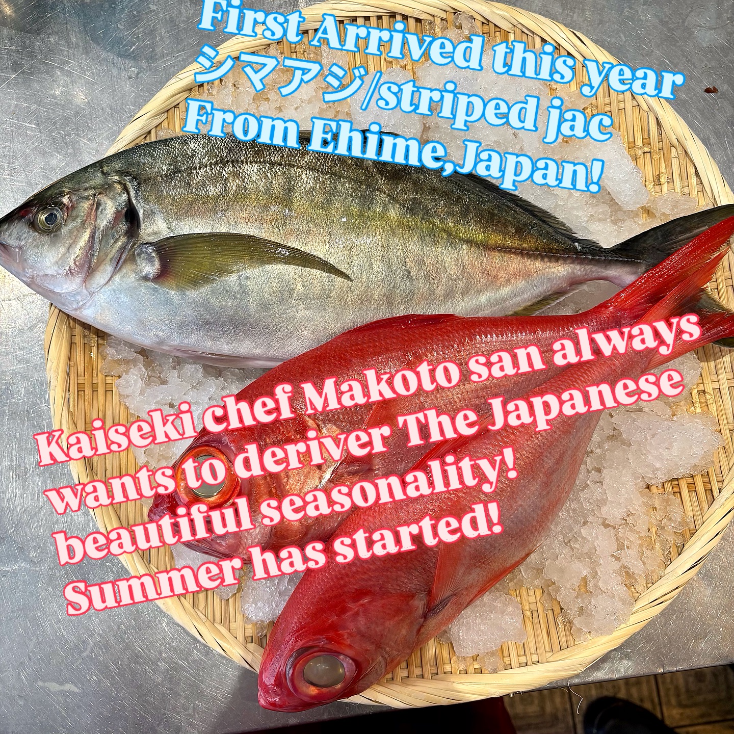 As traditional Kaiseki restaurant,Kaiseki Chef Makoto san always would like all guests to deliver ‘a beautiful Japanese seasonality’.
Shima Aji/Striped Jack has just delivered from Ehime,Japan
this morning for the first time this year!
Traditional Kaiseki cuisine is
・The beauty of subtraction
・Less is more
・The elegance of simplicity
The beauty of subtraction isn’t just about removing things. It’s about honing in on what’s truly necessary and meaningful.
The best seasonal ingredients and Makoto san’s Kaiseki craftsmanship magic will work very well together!
We sincerely hope that we’ll spread of the true meaning of ‘Kaiseki’ and traditional Japanese cuisine here!
We’ve been challenging it as a Japanese who grew up in Japan!
Not only striped jack but many finest seafoods have arrived everyday with Makoto san's strong connection with many our suppliers actually supporters📣😌
Thank you so much/本当にありがとうございます🙌
Of course,including you who read this article😌
We look forward to welcoming you!
#kaiseki #omakaselondon #londonjapanesefood #kaisekilondon #yokoyalondon #yokoya