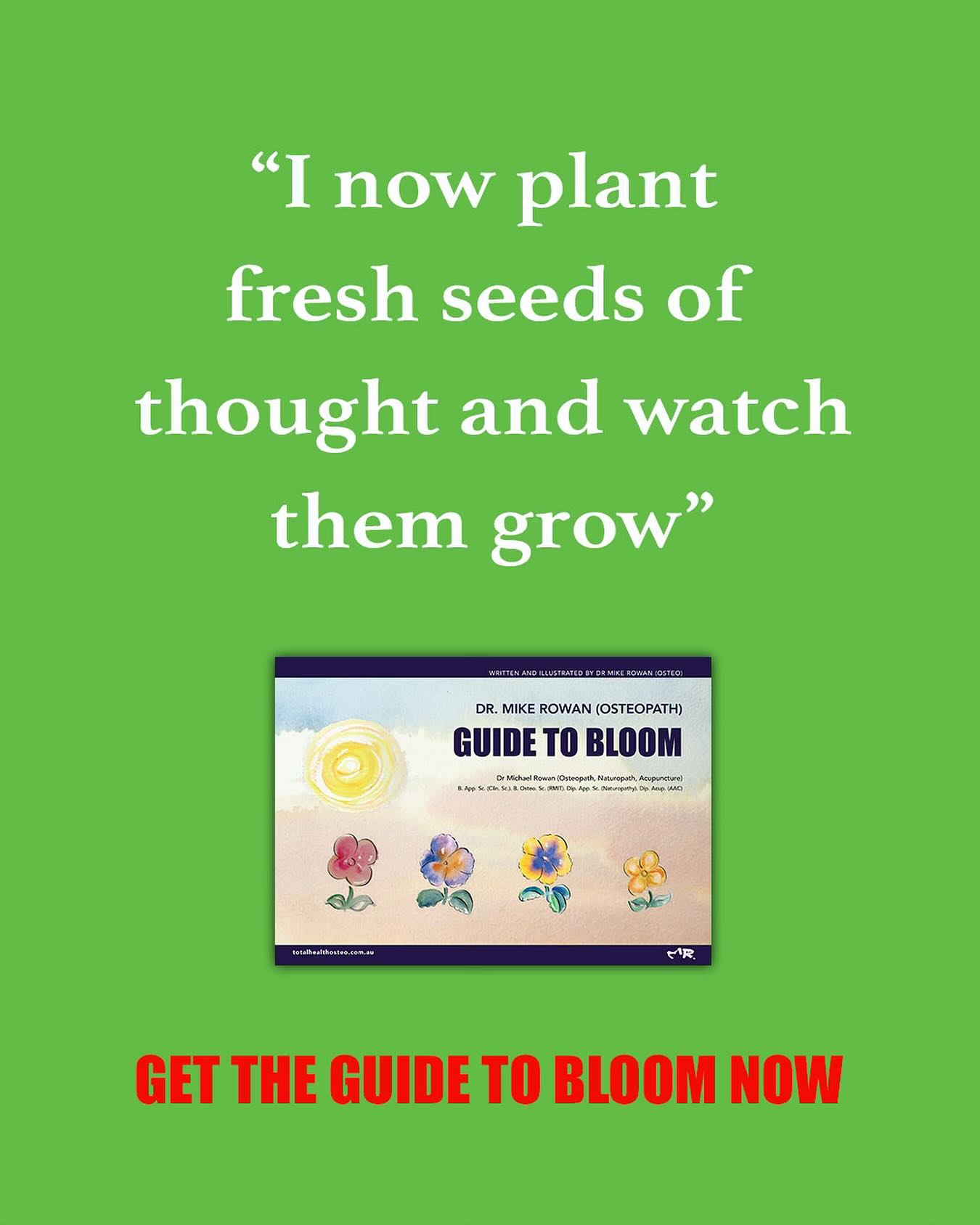 A Guide to Bloom, is a framework for gaining clarity and manifesting goals using the metaphor of a garden. It encourages positive thoughts, and trust in your life’s journey, encourages planting core values as seeds, and watching them grow and reminds us to take one step at a time one day at a time. This is my, seed and feed method to thrive and bloom.
Now available: www.totalhealthosteo.com.au/books
#ManifestYourDreams #VisionBoardGoals #ManifestationMindset #LawOfAttraction #DreamBig #MindsetMatters #PersonalDevelopmentBooks #SelfGrowthJourney #SuccessMindset #AbundanceMindset #GoalSetting #PowerOfVisualization #ManifestationCoach #CreateYourReality #DreamLifeInProgress #SpiritualSuccess #MindsetShift #IntentionalLiving #AffirmationsDaily #UnlockYourPotential