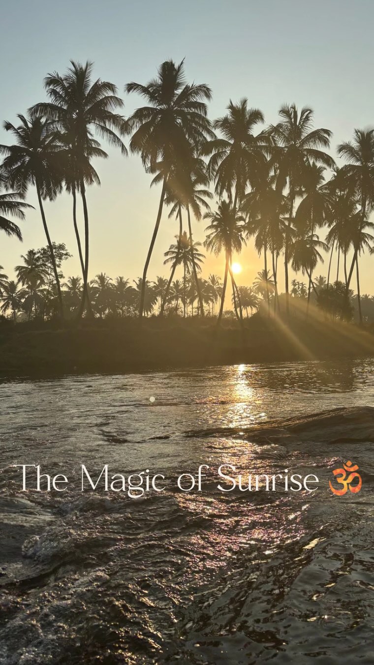 Sunrise is a magical time! 💛 It is the transition from dark to light and this transition is called “sandhi prakash” in Sanskrit. “Sandhi” means transition and “prakash” means light.
There is more peace, tranquility and sattva at sunrise which makes it a powerful time to practice asana, pranayama, mediation, and mantra chanting etc. Their effects are enhanced when practiced at this time. This is why Āyurveda and Yoga both recommend spiritual rituals & establishing a consistent dinacharya involving spiritual practices during the early hours.
While the air is filled with tranquility and beauty, it is the perfect time to gather and stabilize our own inner peace and balance before heading into the dynamic energy of the day. We then draw in the energy of the newly risen sun and carry that energy with us to use in our busy daily lives.
Sunrise is more than just beautiful. It is a feeling and a sacred time of day. 💛🕉️
#sunrise #ayurveda #yoga #dinacharya #sandhiprakash #sūryodaya #lovesunrise #darktolight #transitiondarktolight