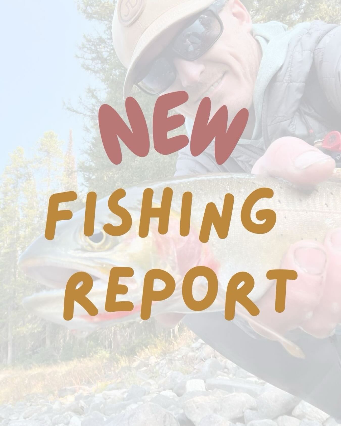 First blog post of the 2025 season: we Are In Full Run-Off by Howard Cole #linkinbio
Stop by the shop for the latest intel on where to fish, hot flies and good ol’ story telling.
Open daily 10am-6pm
#jdhighcountryoutfitters #jacksonhole #visitjacksonhole #jacksonholeflyfishing #flyfishing