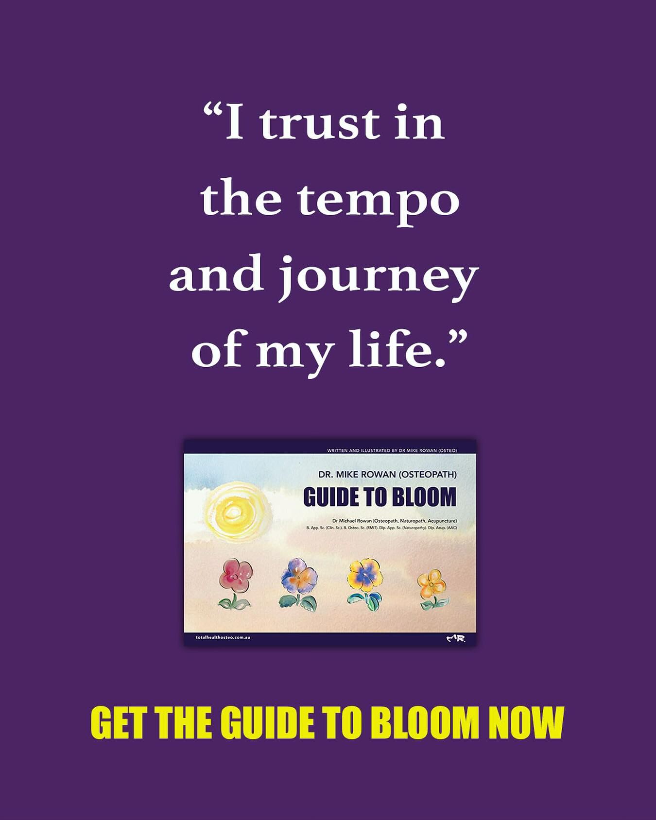 A Guide to Bloom, is a framework for gaining clarity and manifesting goals using the metaphor of a garden. It encourages positive thoughts, and trust in your life’s journey, encourages planting core values as seeds, and watching them grow and reminds us to take one step at a time one day at a time. This is my, seed and feed method to thrive and bloom.
Now available: www.totalhealthosteo.com.au/books
#ManifestYourDreams #VisionBoardGoals #ManifestationMindset #LawOfAttraction #DreamBig #MindsetMatters #PersonalDevelopmentBooks #SelfGrowthJourney #SuccessMindset #AbundanceMindset #GoalSetting #PowerOfVisualization #ManifestationCoach #CreateYourReality #DreamLifeInProgress #SpiritualSuccess #MindsetShift #IntentionalLiving #AffirmationsDaily #UnlockYourPotential