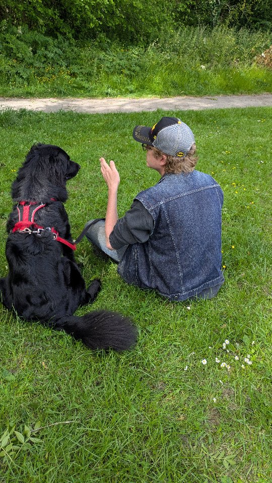Remember reactivity training should be boring!!
Trigger training with Kyle and Esme and an obedient friend.
I'm always telling my clients to set up training scenarios, where you can control the trigger. Asking friends, acquaintances, obliging strangers, to help is vital!