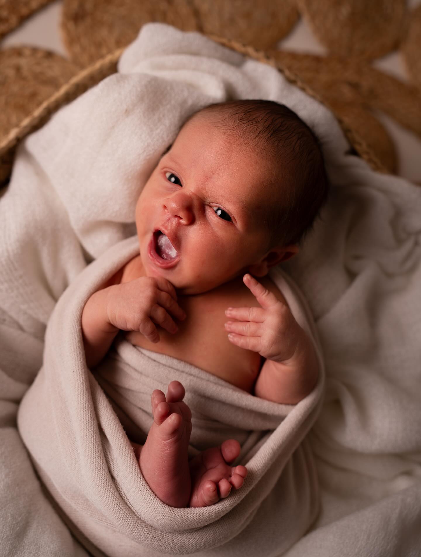 🥹 Regardez-moi ce petit bout…
Ces joues à bisous, ces minuscules pieds à croquer, cette peau toute douce…
C’est fou comme un bébé peut faire fondre un cœur en un regard.
Chaque détail compte, chaque instant est précieux — et mérite d’être gardé pour toujours 💛
Photographier les tout premiers jours de vie, c’est capturer l’amour pur, la tendresse brute, et l’émotion à l’état neuf.
Pour tous les futurs parents, pour celles qui s’apprêtent à donner la vie : ces souvenirs sont un trésor.
Je suis là pour vous aider à les figer avec douceur et bienveillance 👶📸
Et un immense merci encore à @anais_giner_photographie pour cette formation remplie de savoir, de passion… et d’humanité. Une belle personne et une vraie source d’inspiration ✨
#photographenaissance #nouveaunée #photographebébé #souvenirsprécieux #photographevaucluse #futuremaman #photoemotion #babyphotograph #photographer